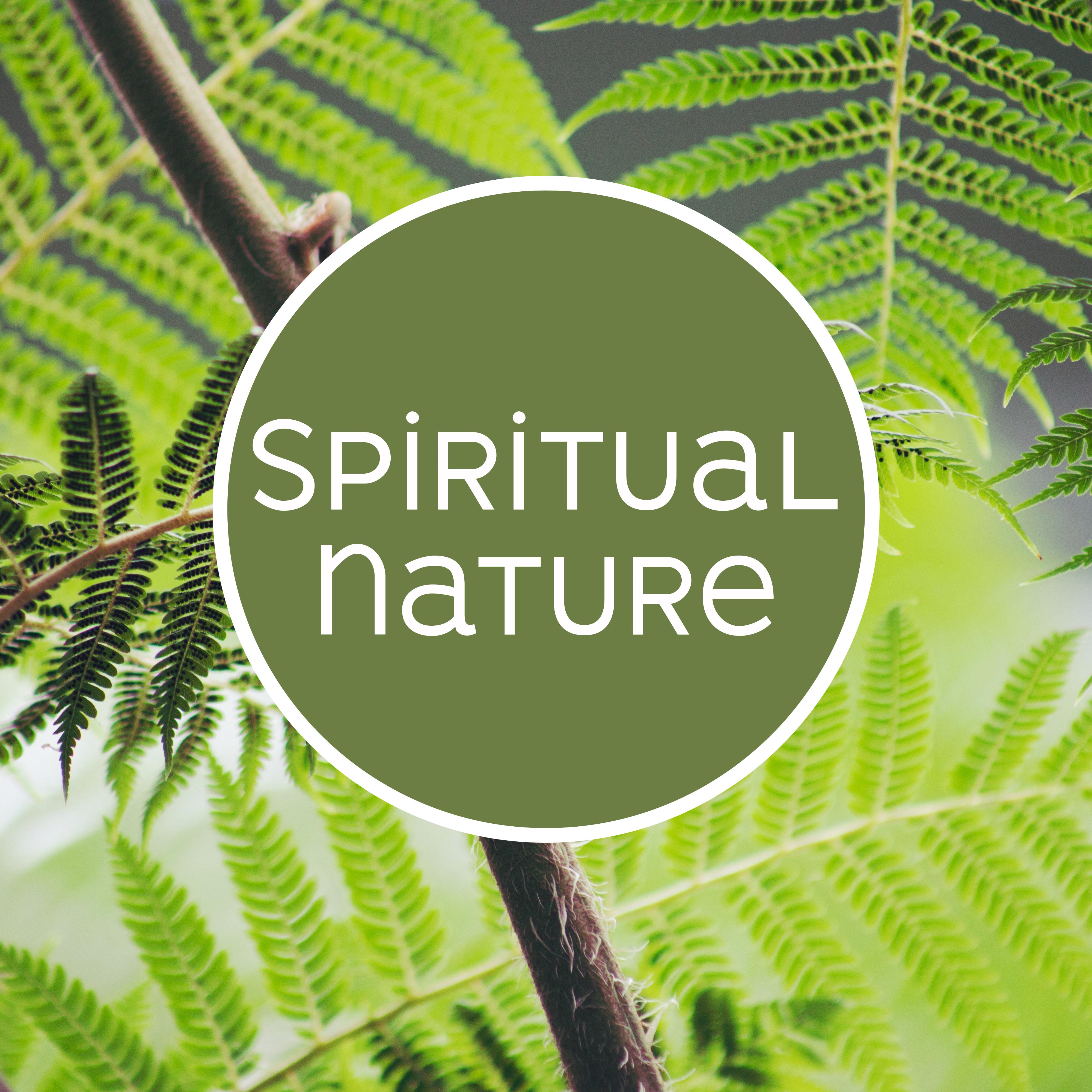 Spiritual Nature – Soft Music to Rest, Nature Relaxation, Healing Waves, Spiritual Calmness