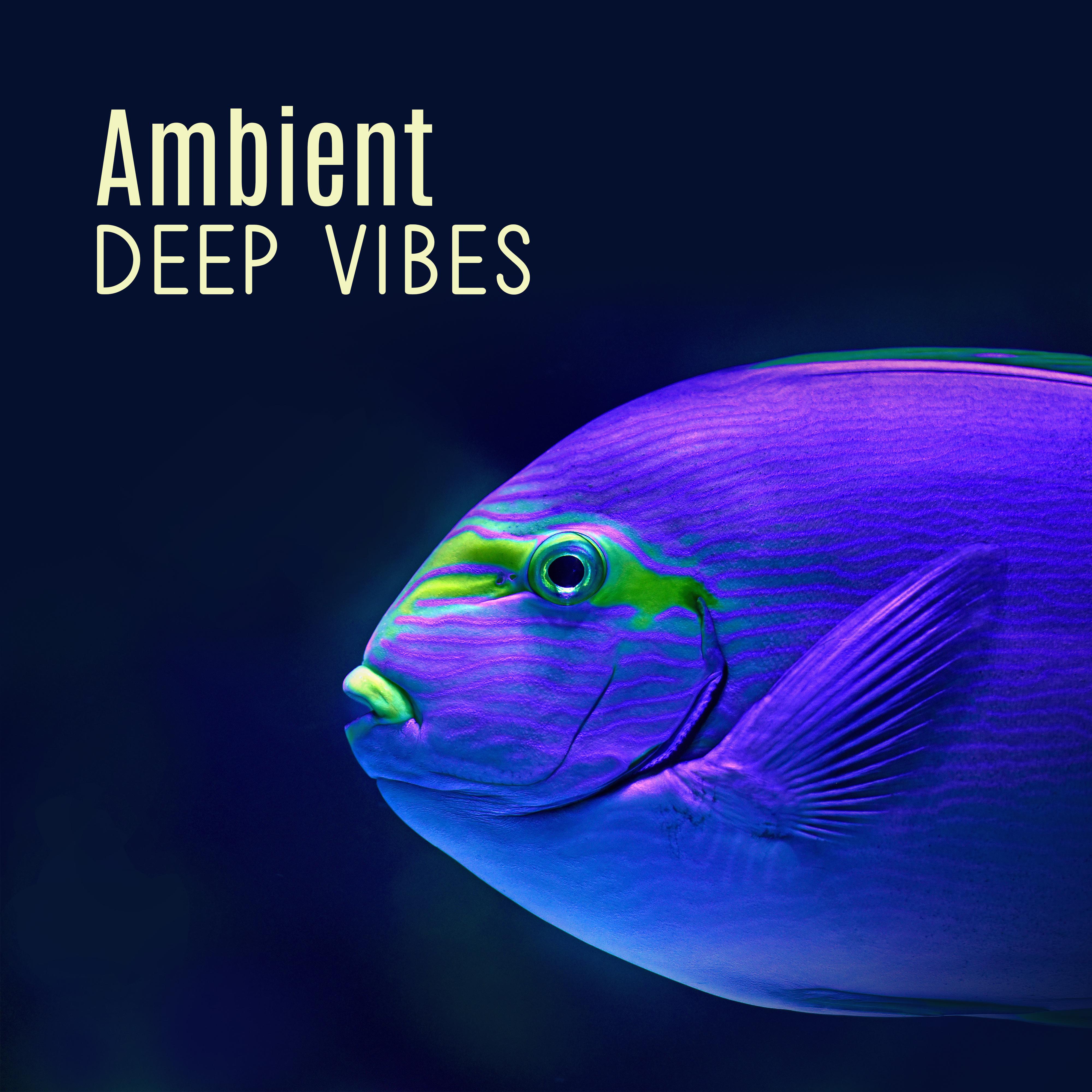 Ambient Deep Vibes