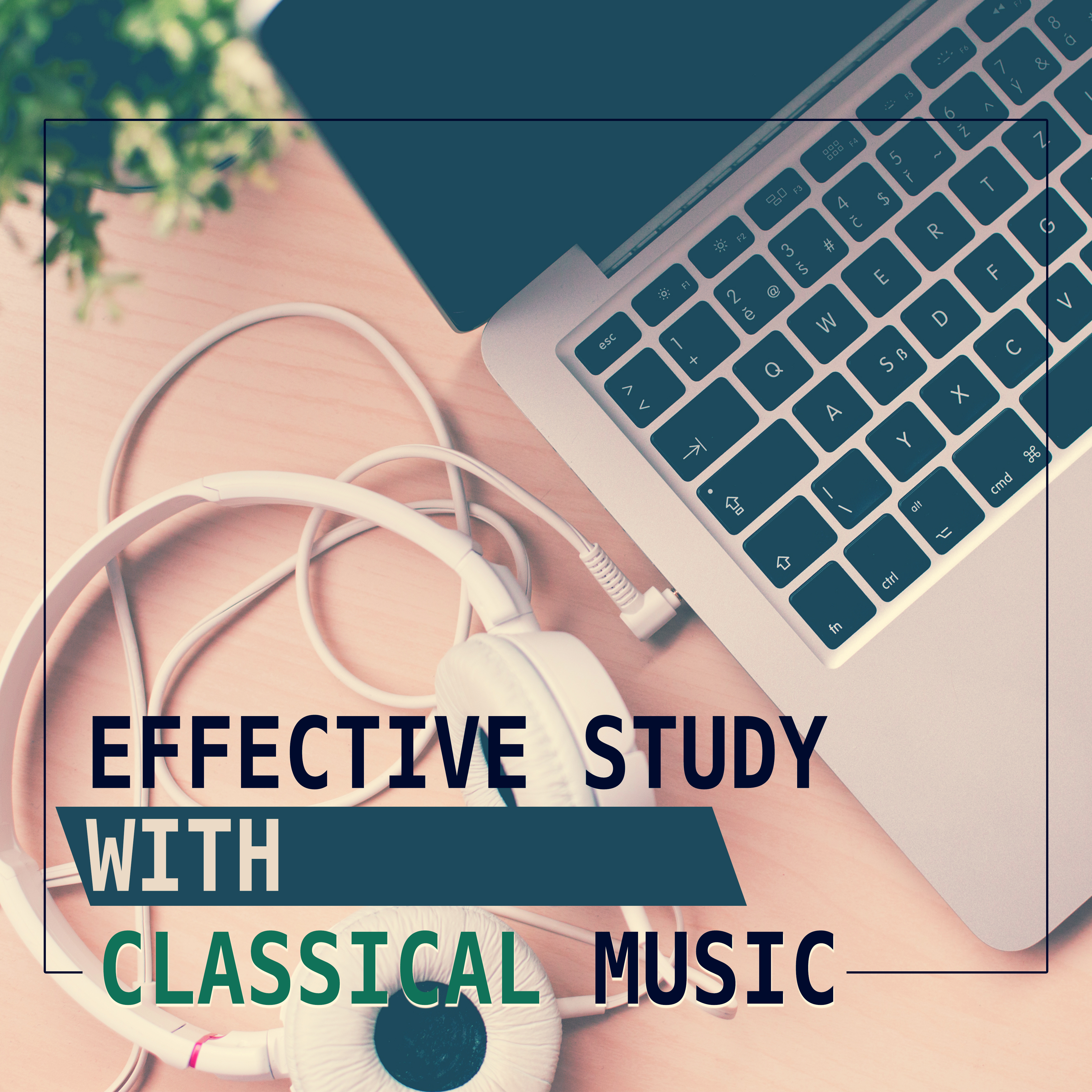Effective Study with Classical Music – Music to Study, Easy Learning, Creative Mind, Bach to Work