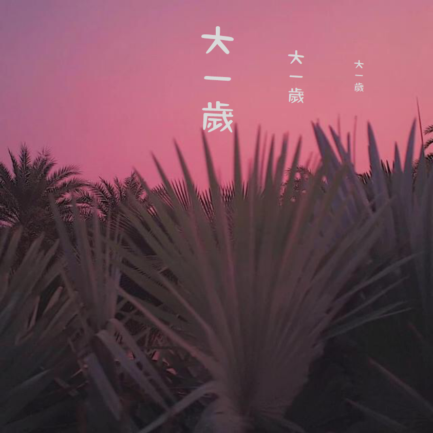 大一岁