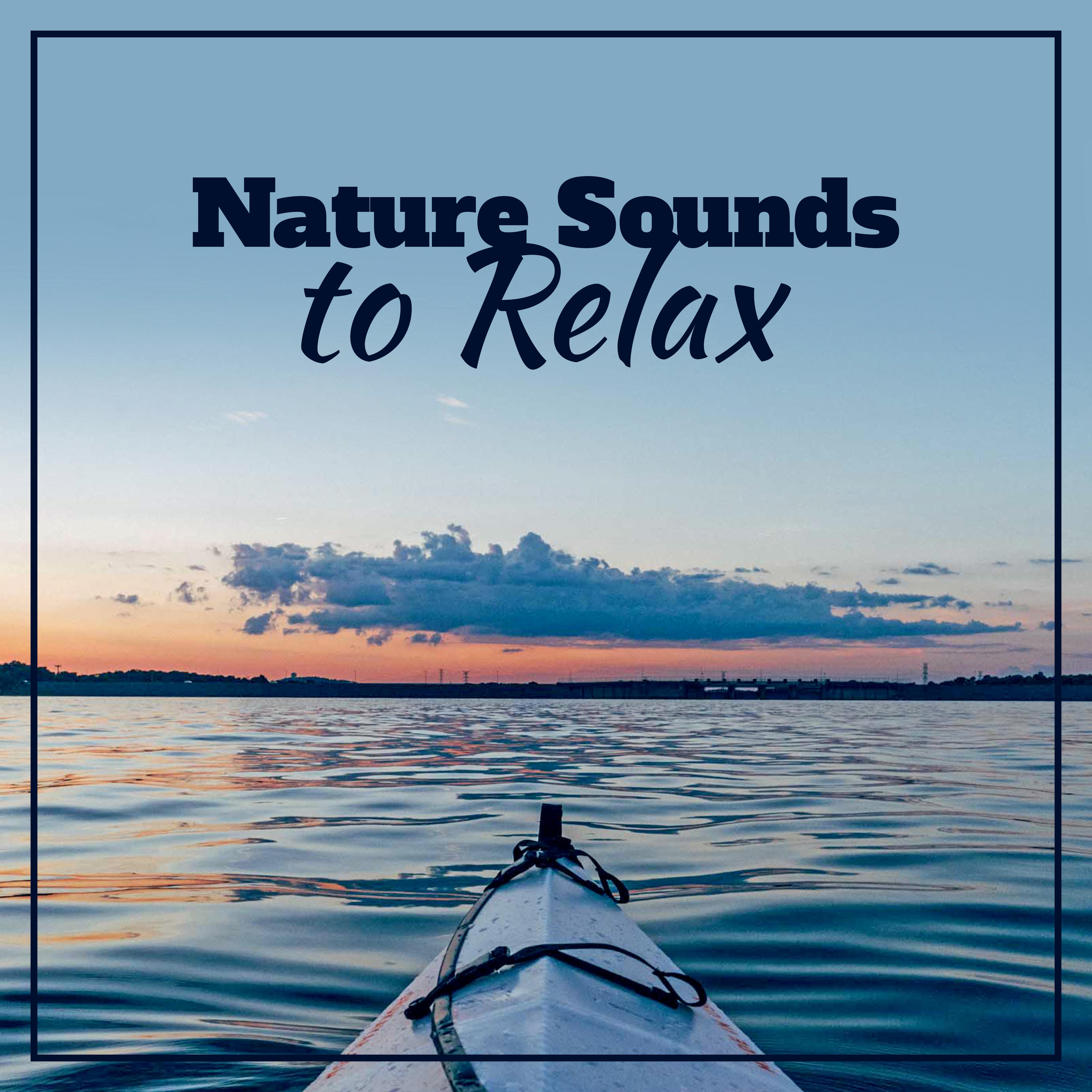 Nature Sounds to Relax – Healing Nature Sounds, Relaxing Therapy, Calm Down & Relax, Stress Free
