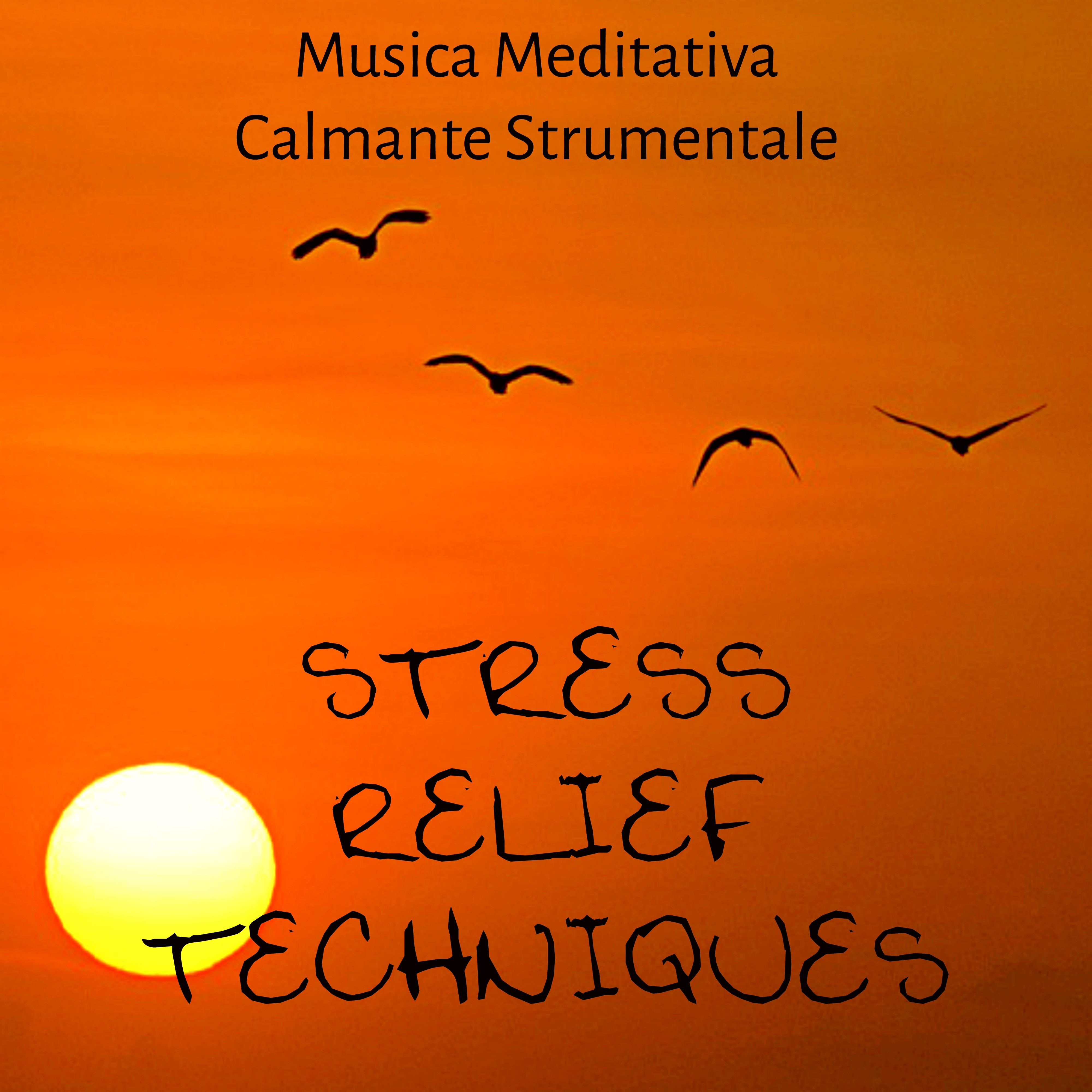 Stress Relief Techniques - Musica Meditativa Calmante Strumentale per Autostima Studiare Metodo di Studio Massaggio Terapeutico con Suoni Naturali New Age Rilassanti