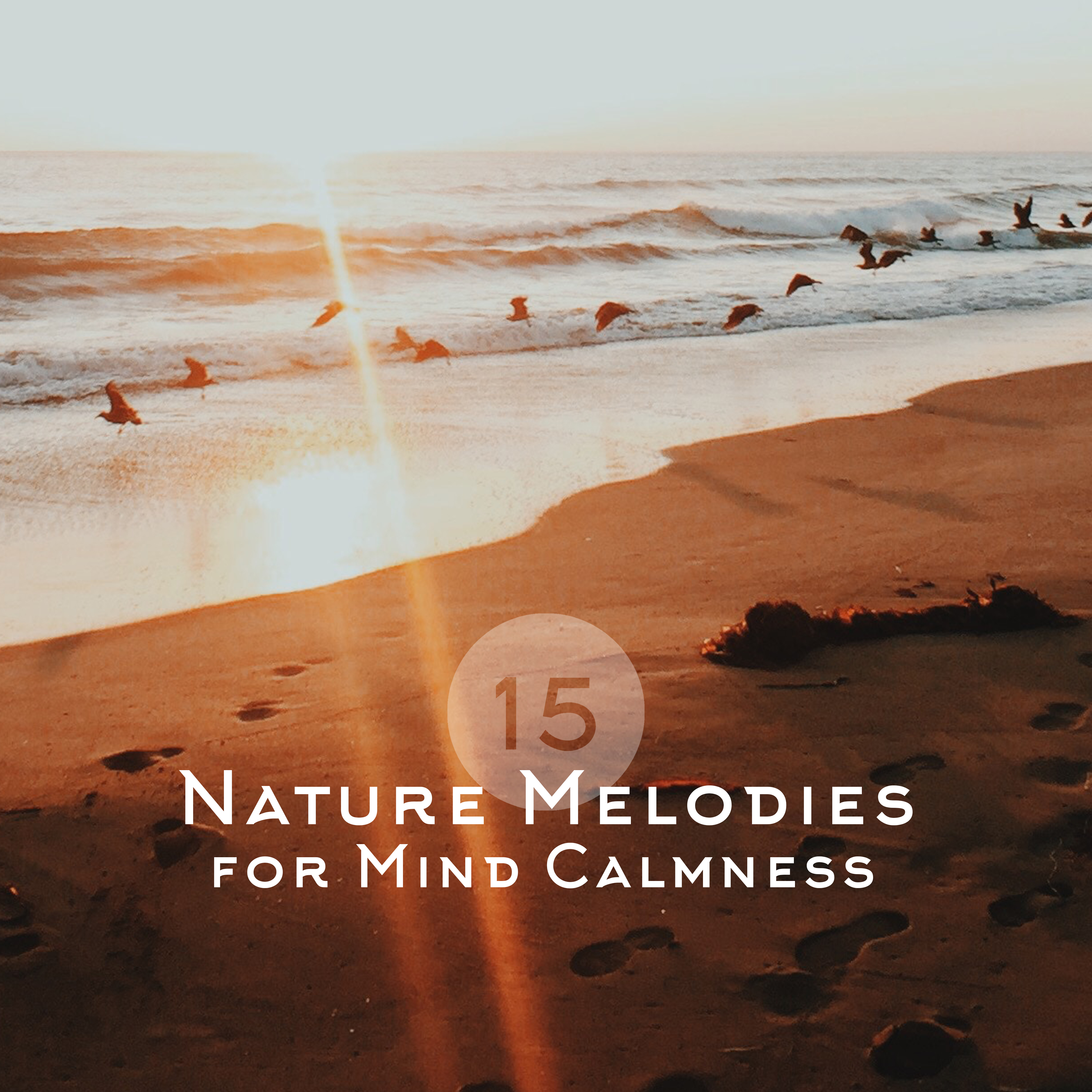15 Nature Melodies for Mind Calmness