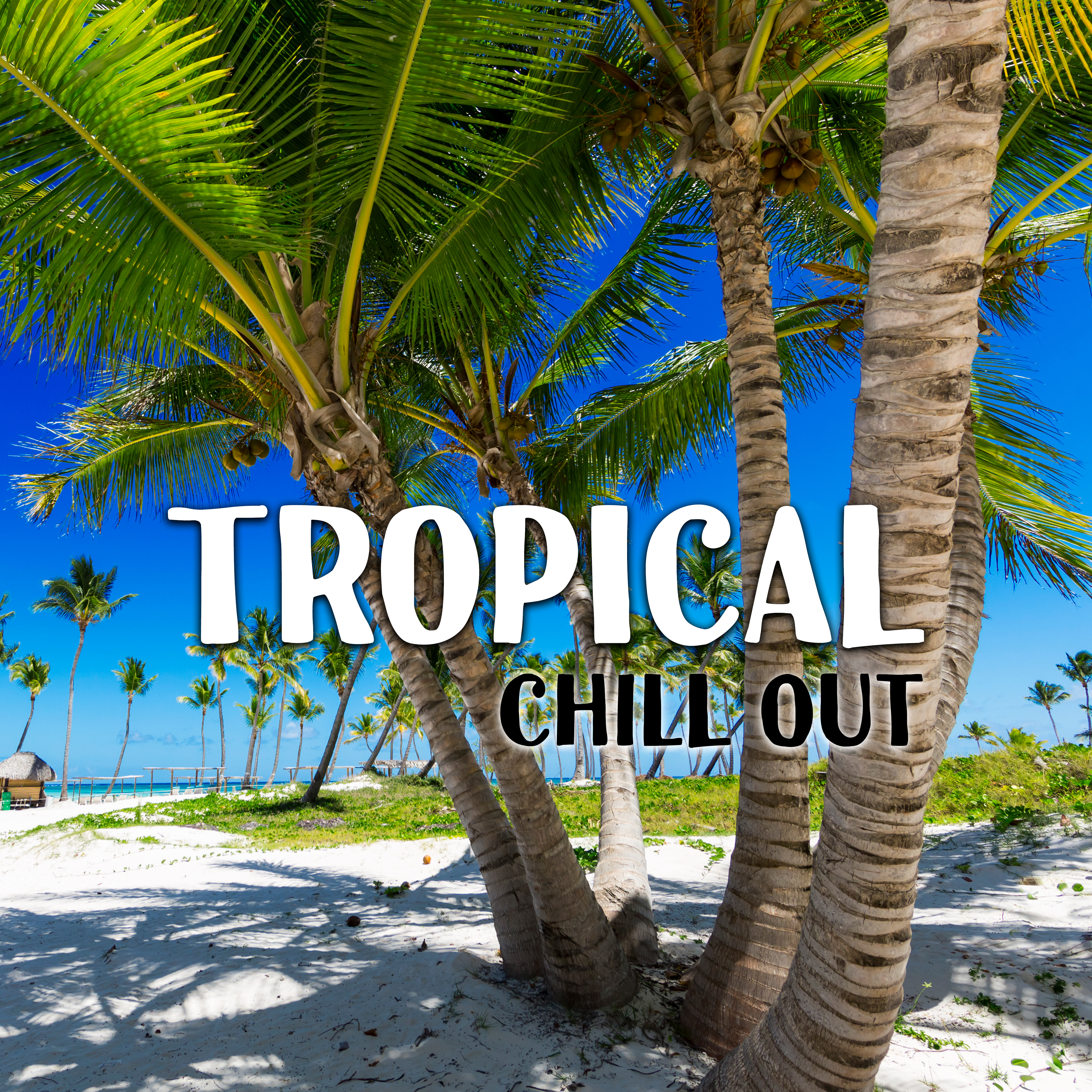Tropical Chill Out – Relaxing Music, Beach Lounge, Deep Rest, Summer Vibes, Ambient Lounge, Tranquility