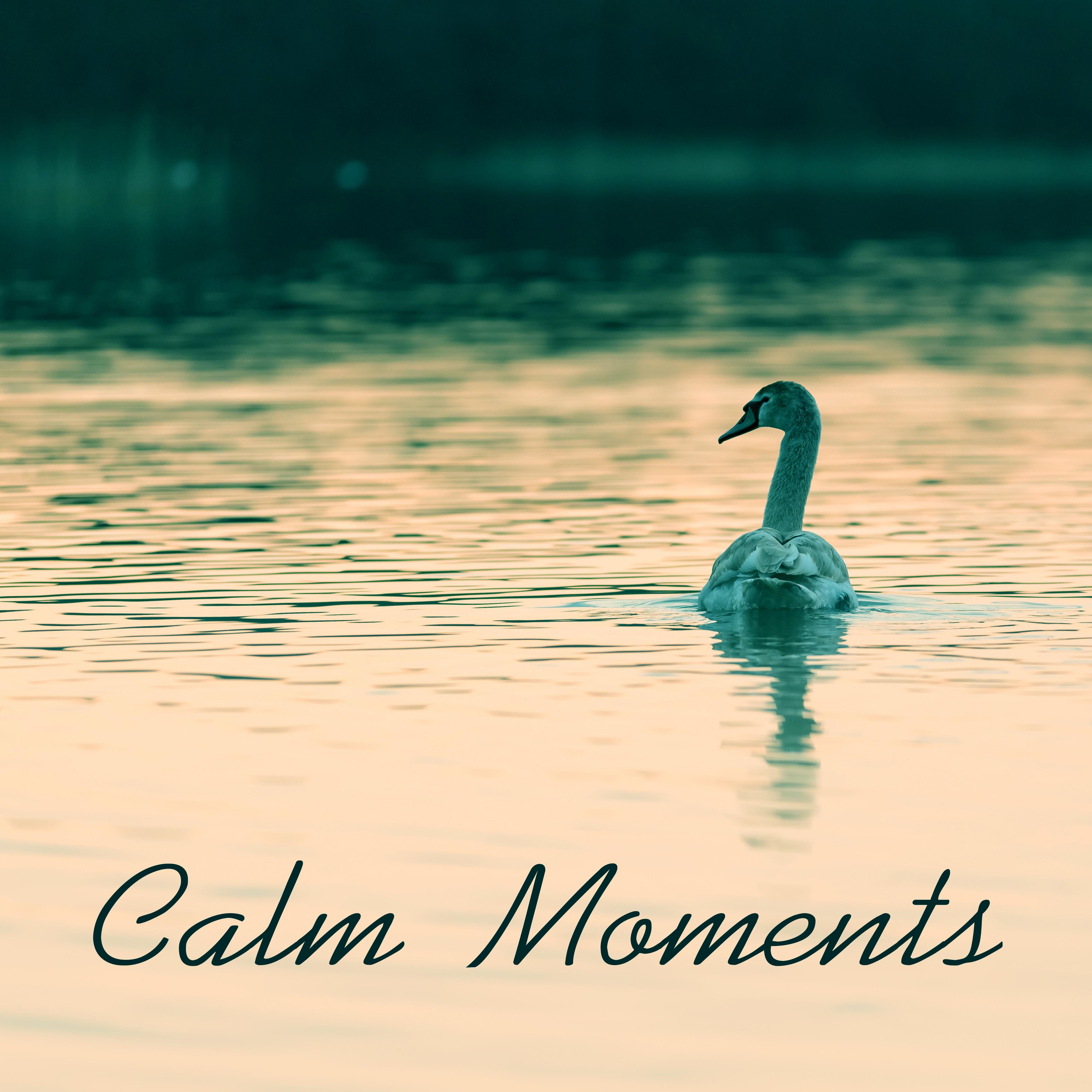 Calm Moments – Relaxing Music Therapy, Anti – Stress, Rest, Healing Sounds of Nature, Rest