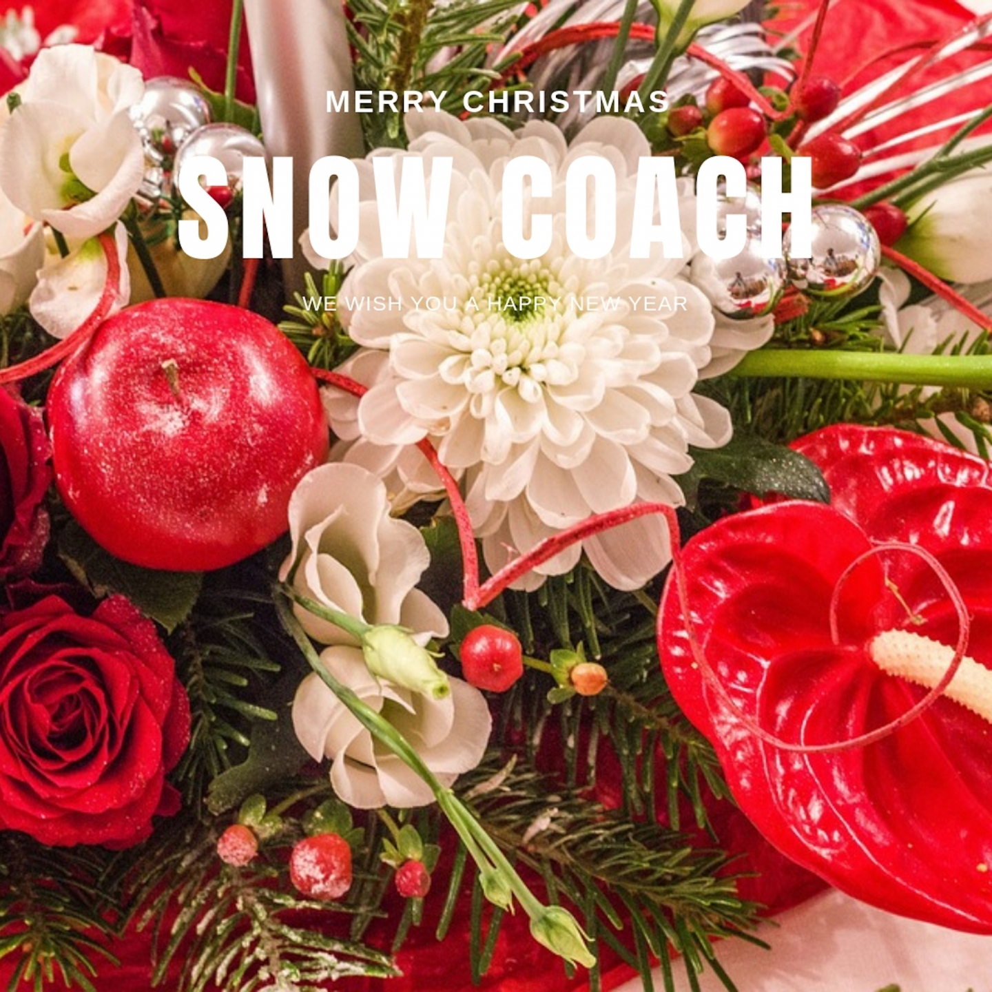 Snow Coach