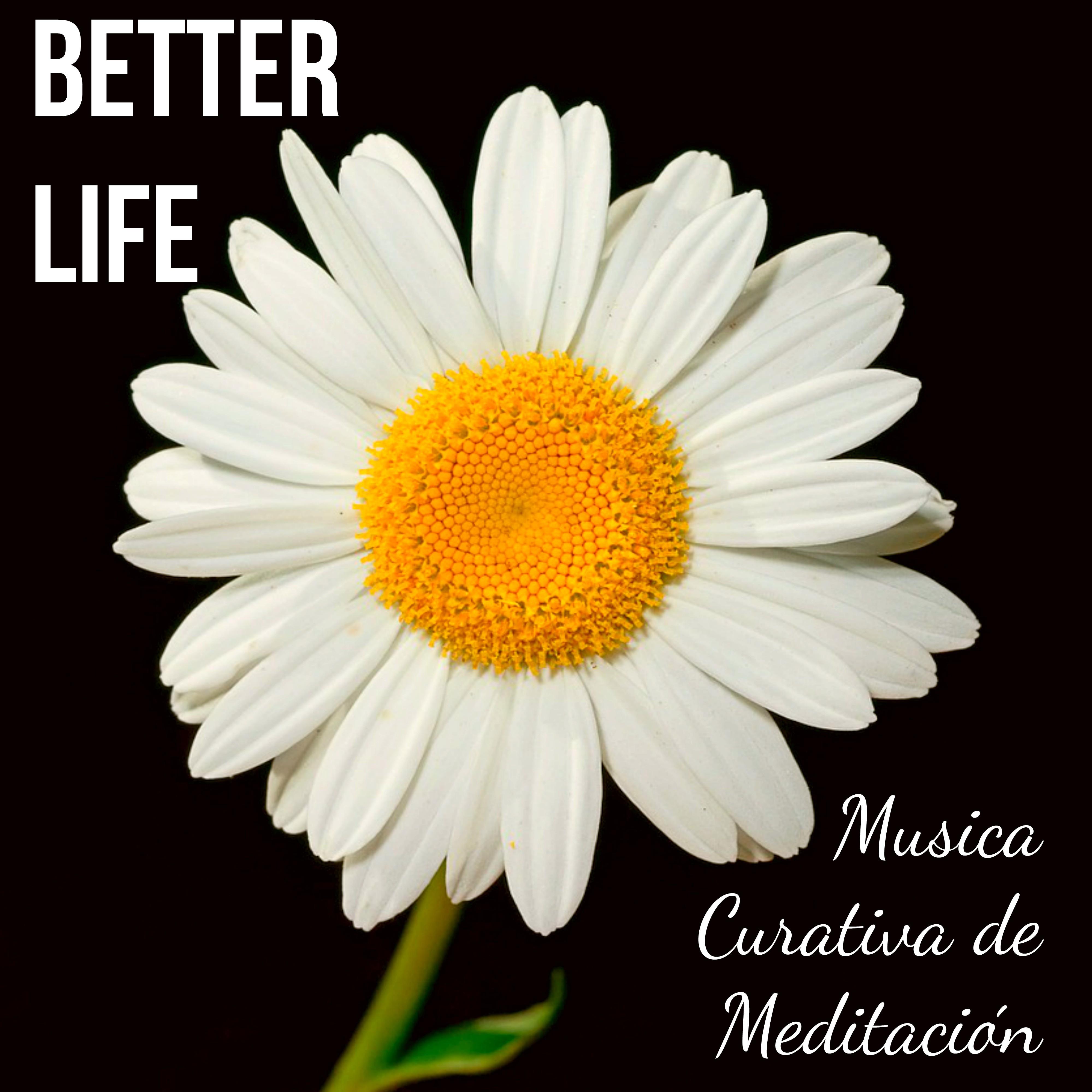 Better Life - Musica Curativa de Meditación para Relajar la Mente Reducir la Ansiedad Abrir Chakras con Sonidos Naturales Instrumentales New Age Binaurales