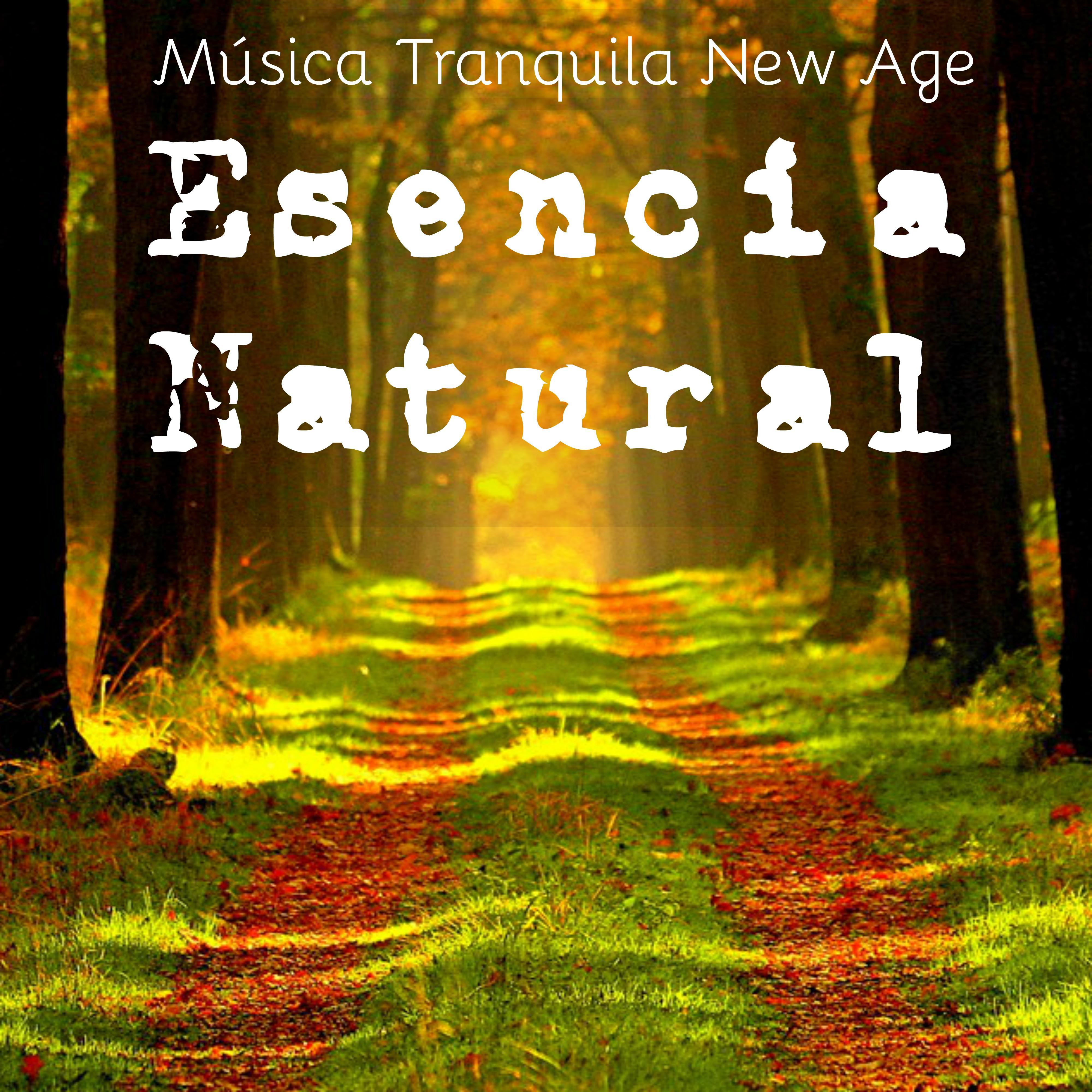 Esencia Natural - Música Tranquila New Age para Dormir Sanar el Alma Entrenamiento de la Mente con Sonidos Naturales Instrumentales Relajantes