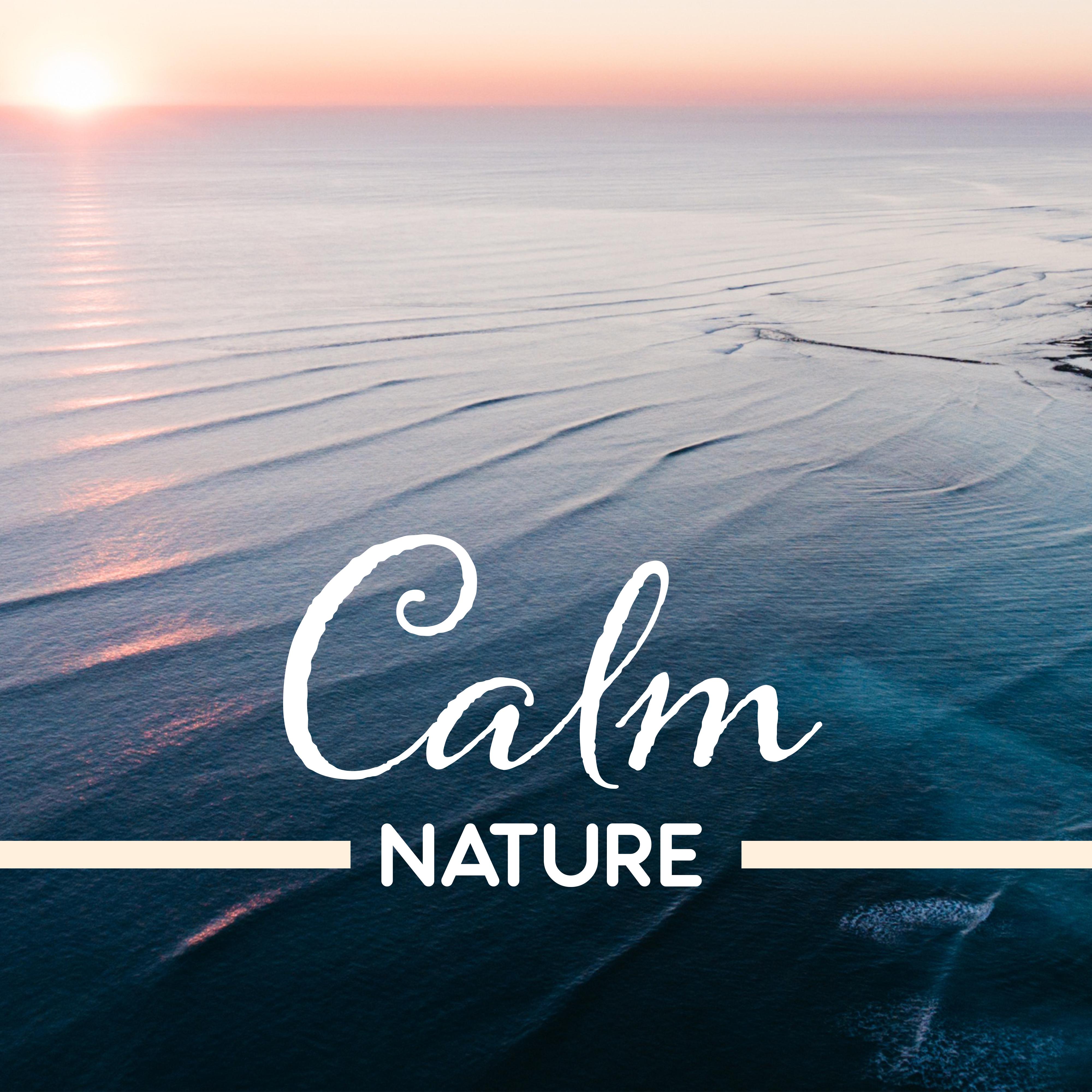 Calm Nature – Healing Music, Deep Sleep, Rest, Peaceful Melodies, Stress Relief, Zen