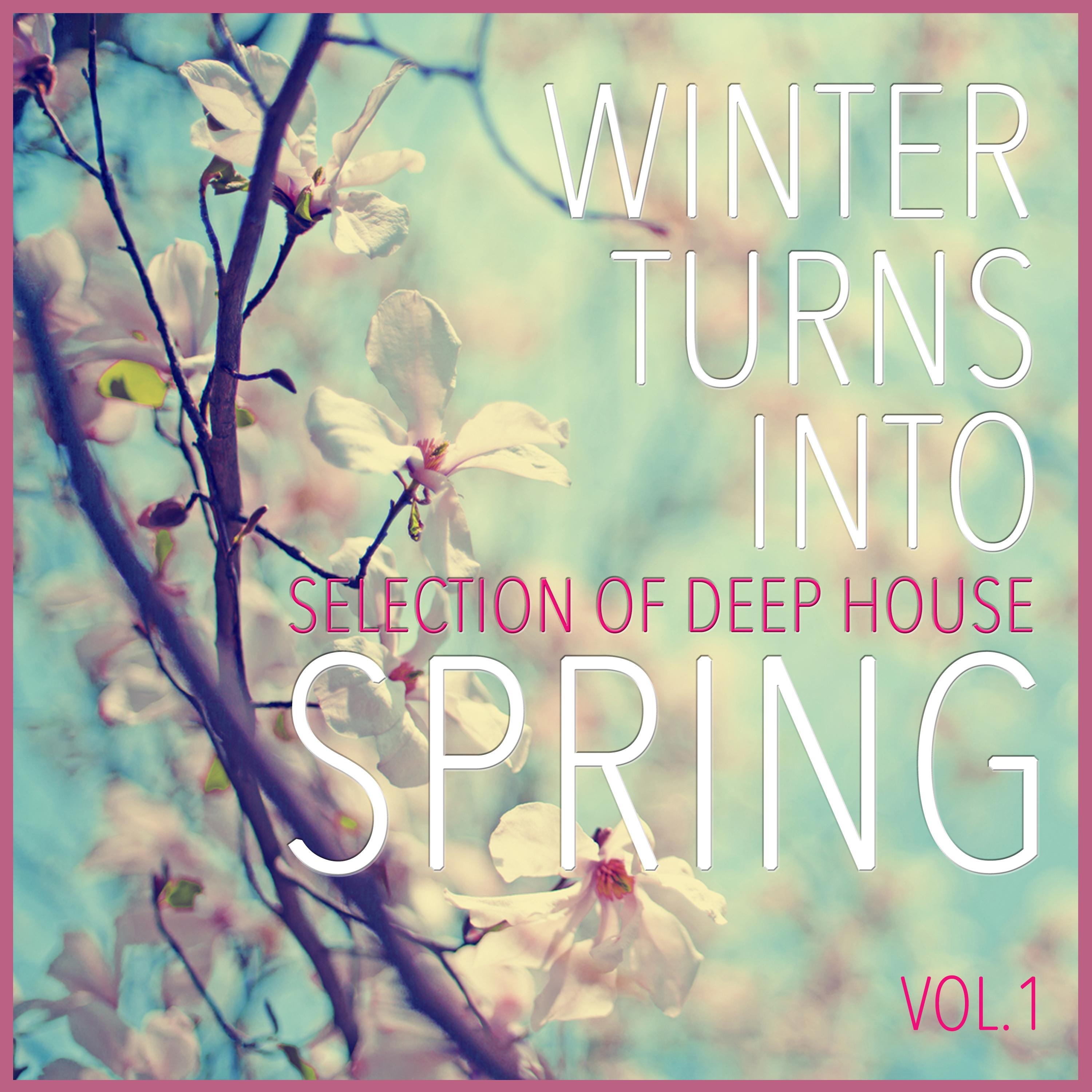 Winter Turns Into Spring, Vol. 1 - Selection of Deep House