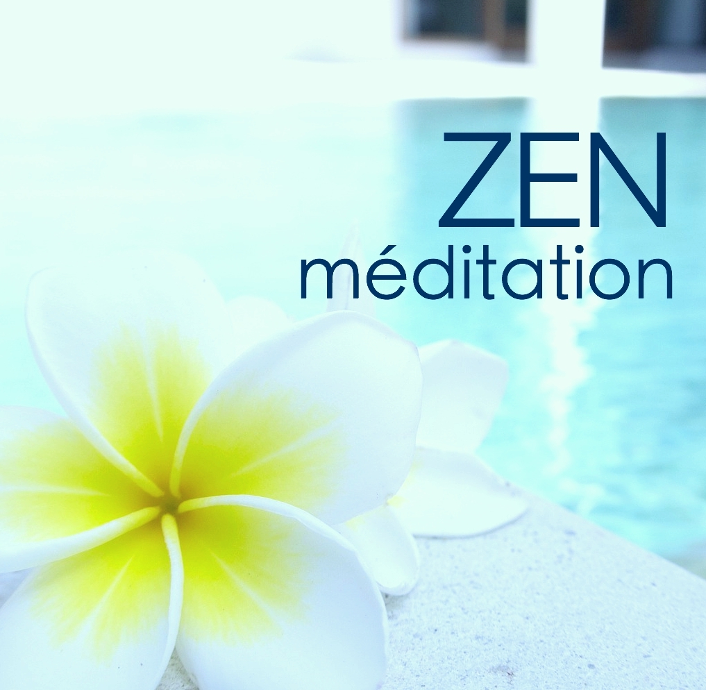 Méditation Zen - Musique New Age pour Meditation, Spa, Massage, Relaxation, Aromathérapie et Pensée Positive, Sons de la Nature y Musique pour Dormir pour Soulager l'Anxiété