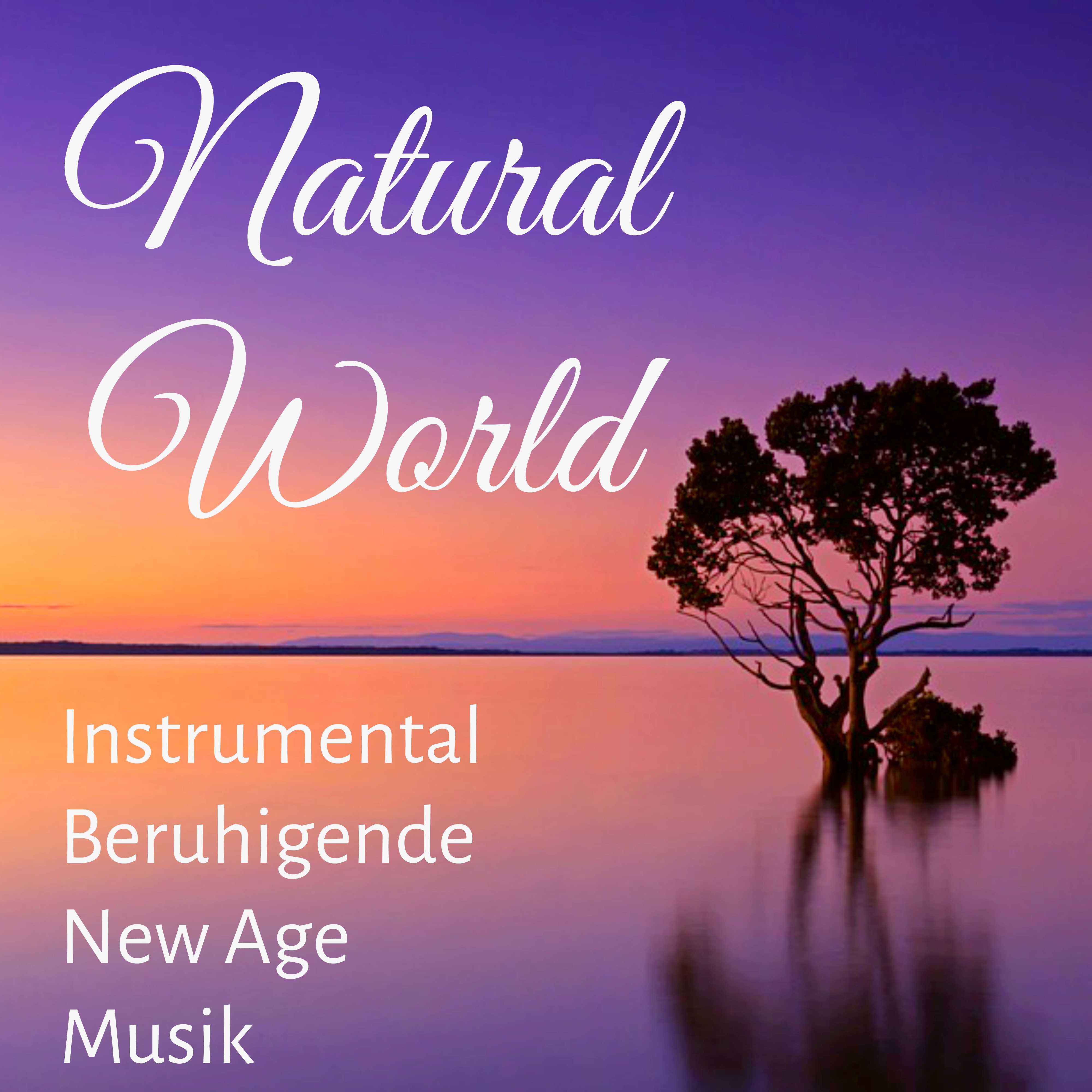 Natural World - Instrumental Beruhigende New Age Musik für Spirituelle Heilung Tägliche Meditation Atemtechniken mit Natur Bleib Ruhig Schlaf Geräusche