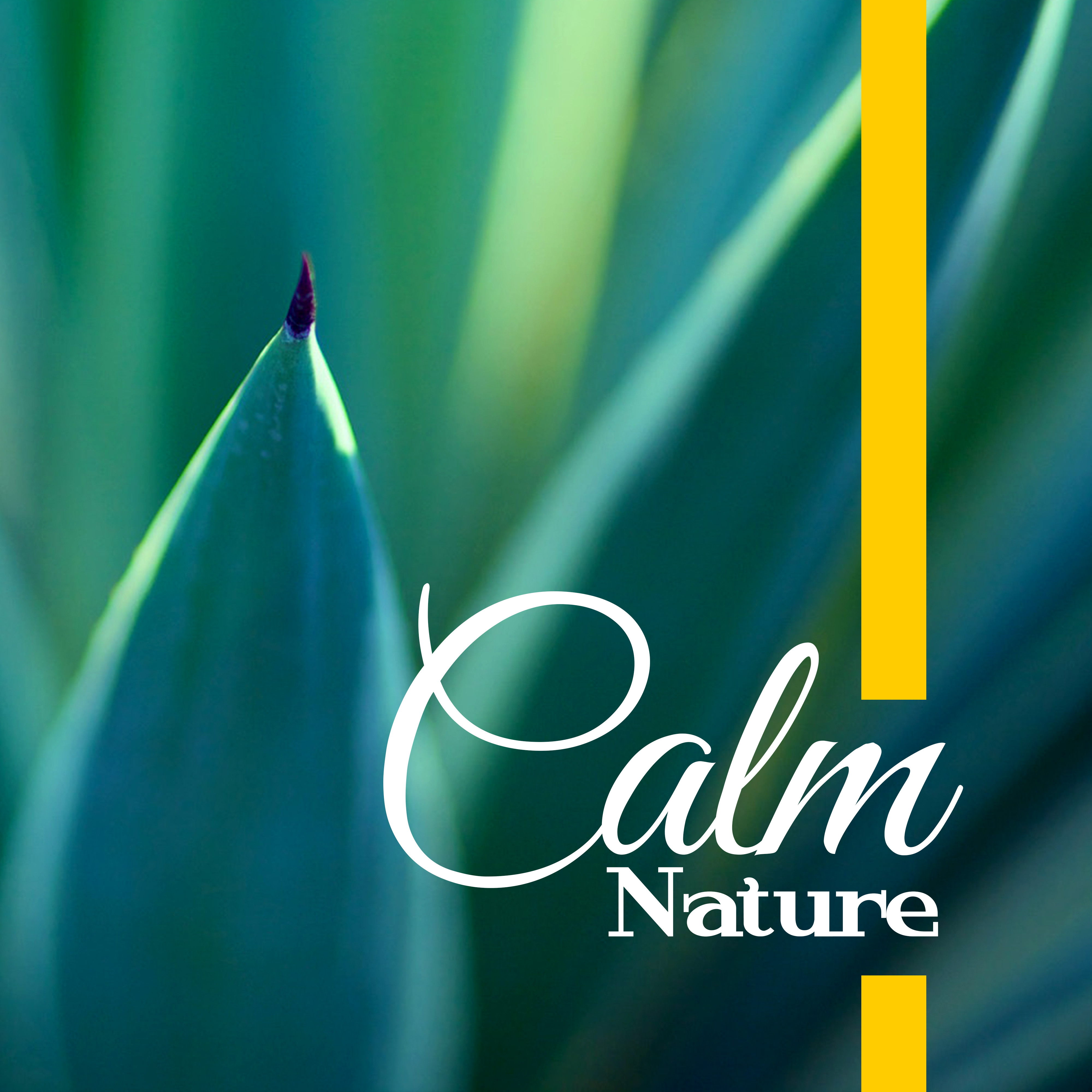 Calm Nature – Relaxing Music, Deep Relaxing Melodies, Rest