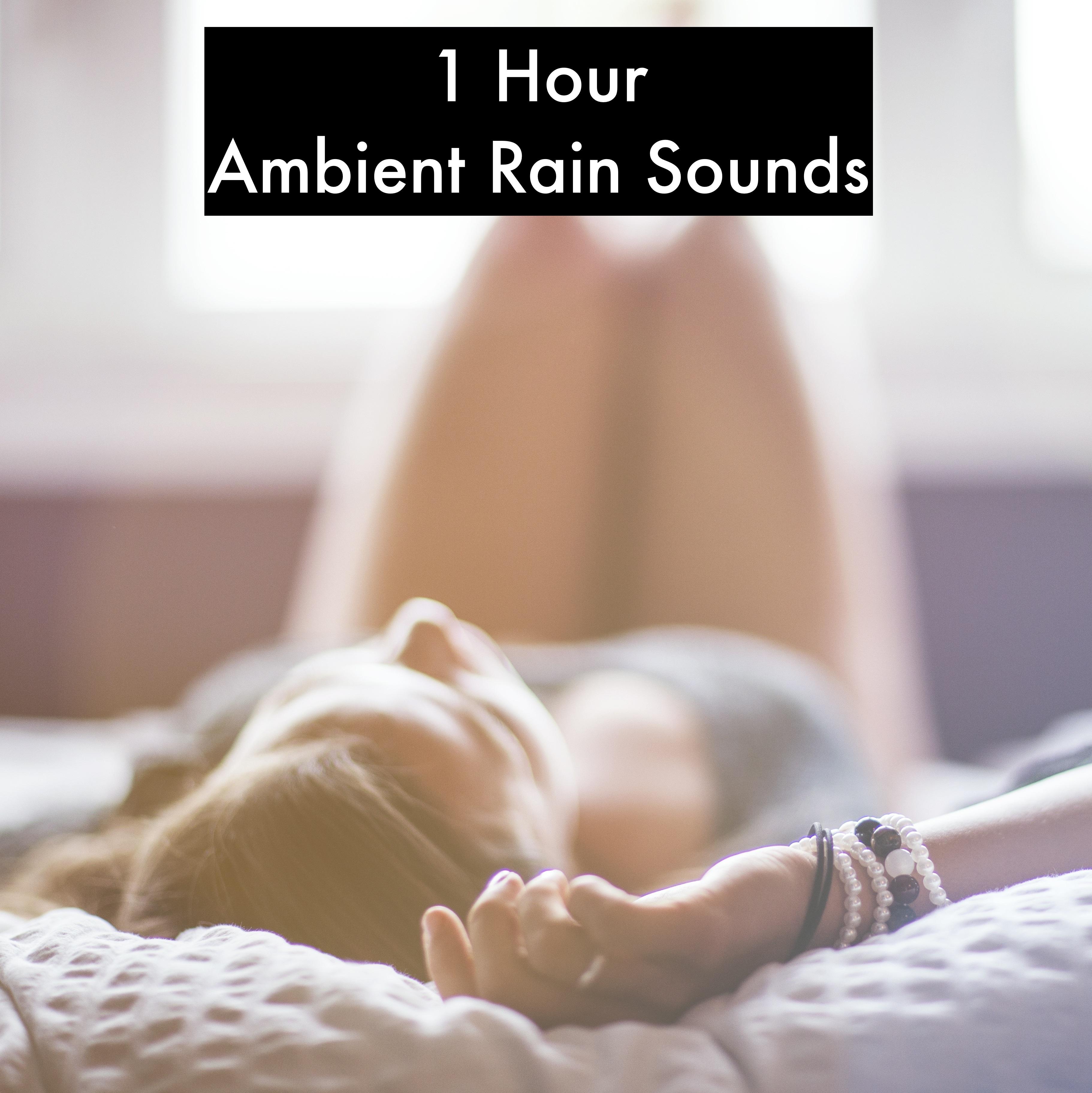 1 Hour Ambient Rain Sounds from Around the World - Loopable