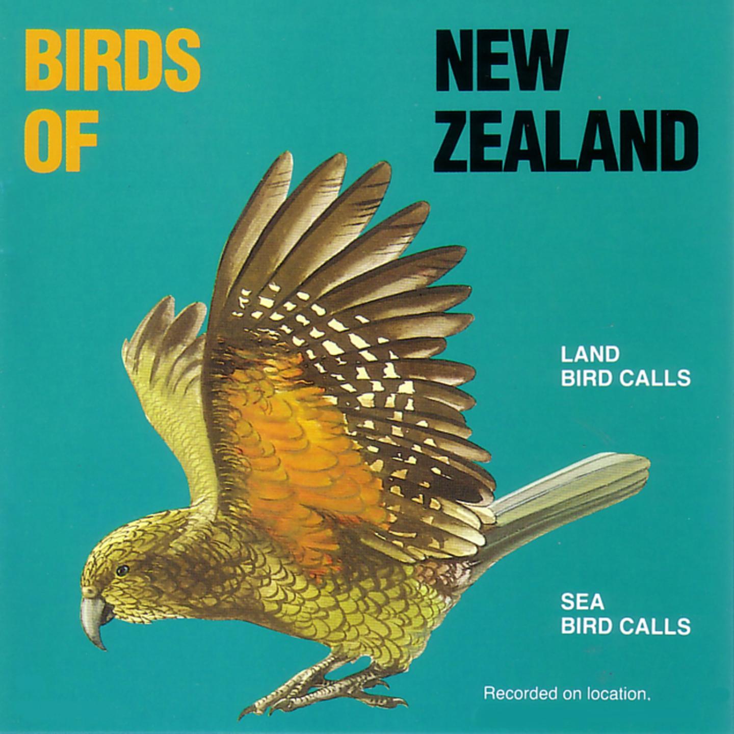 Land Bird Calls / Sea Bird Calls