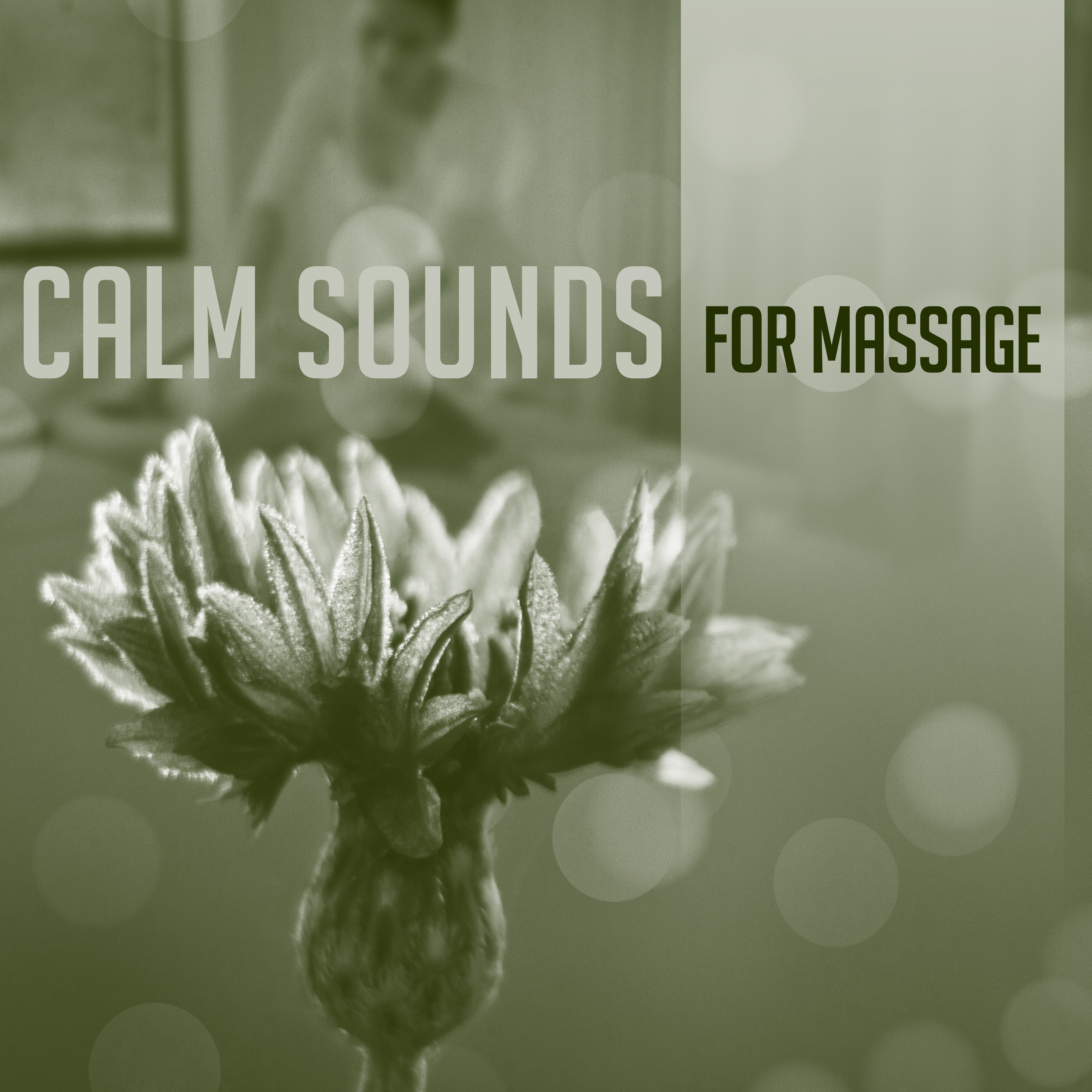 Calm Sounds for Massage – Relaxing New Age Music, Sounds for Rest, Hot Stone Massage, Spirit Journey