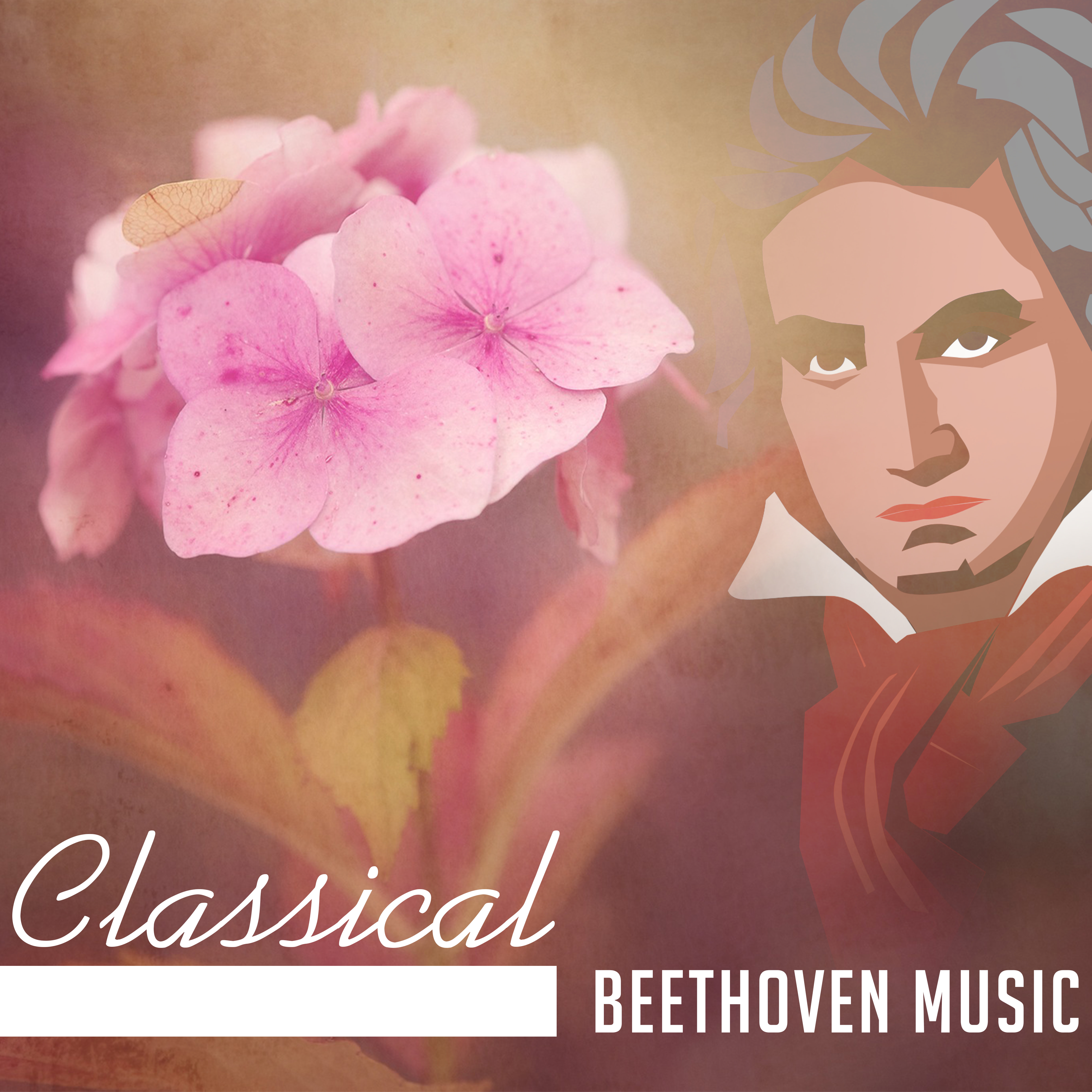 Classical Beethoven Music – Soft Sounds to Relax, Best Classical Music, Soothing Piano