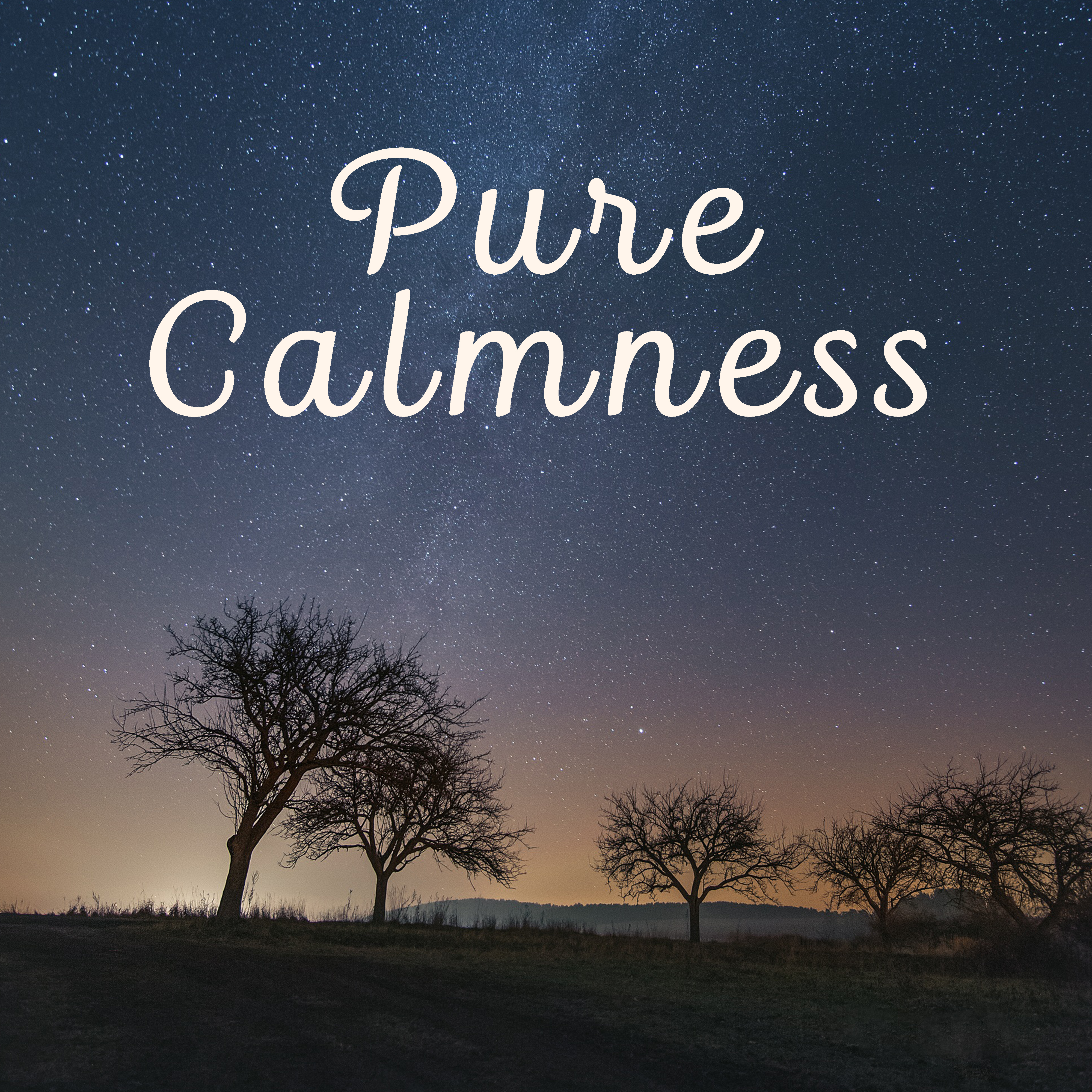 Pure Calmness – New Age Music, Nature Sounds, Healing Melodies, Music for Deep Sleep, Bedtime Meditation
