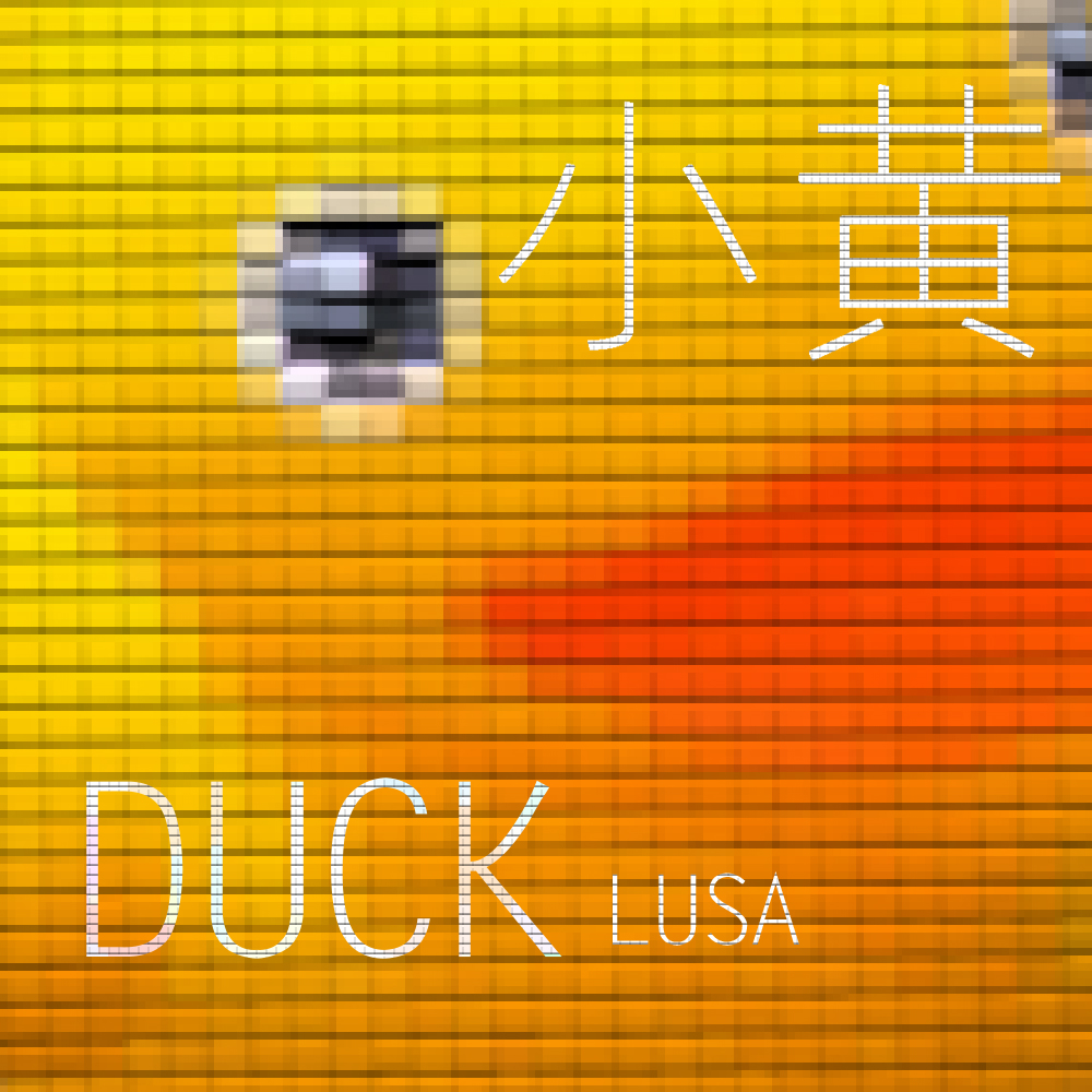 小黄DUCK