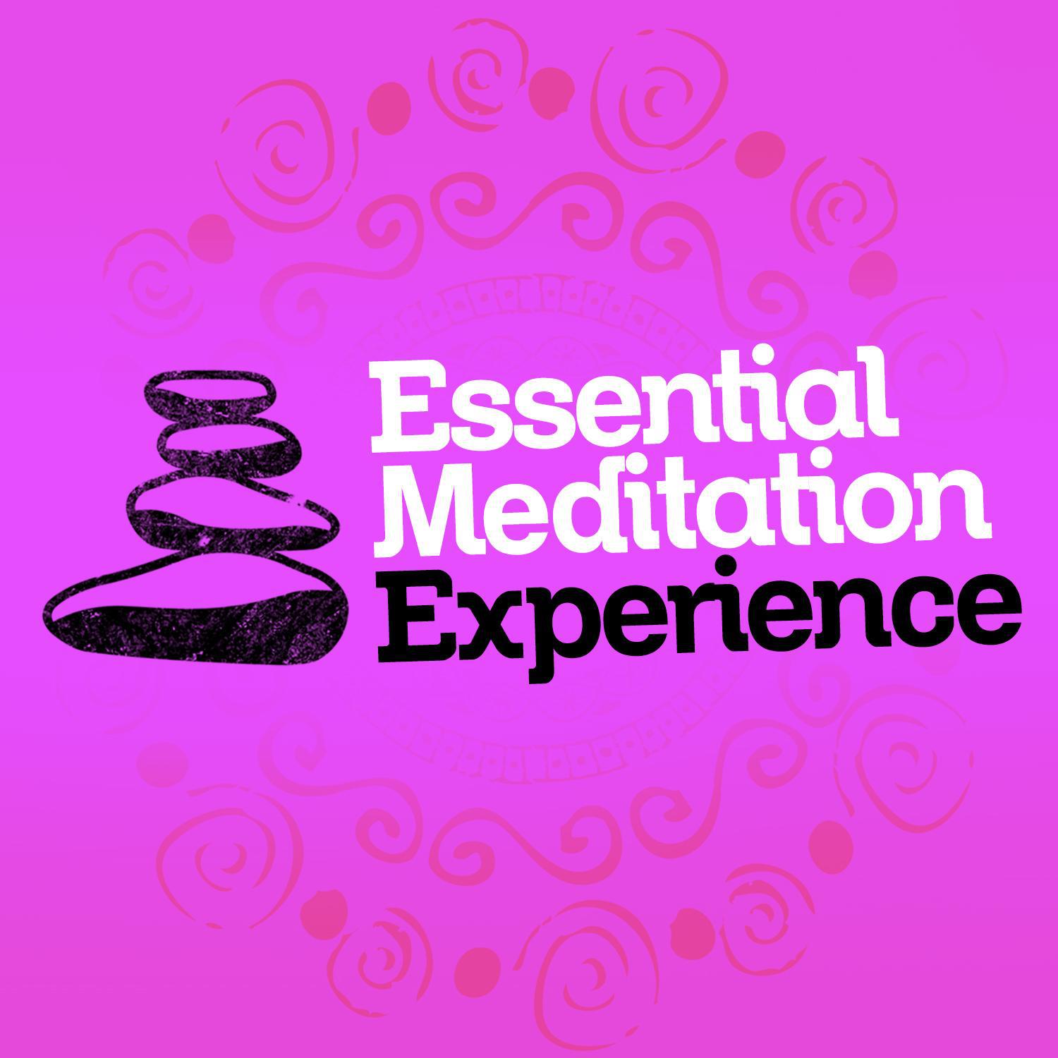 Essential Meditation Experience