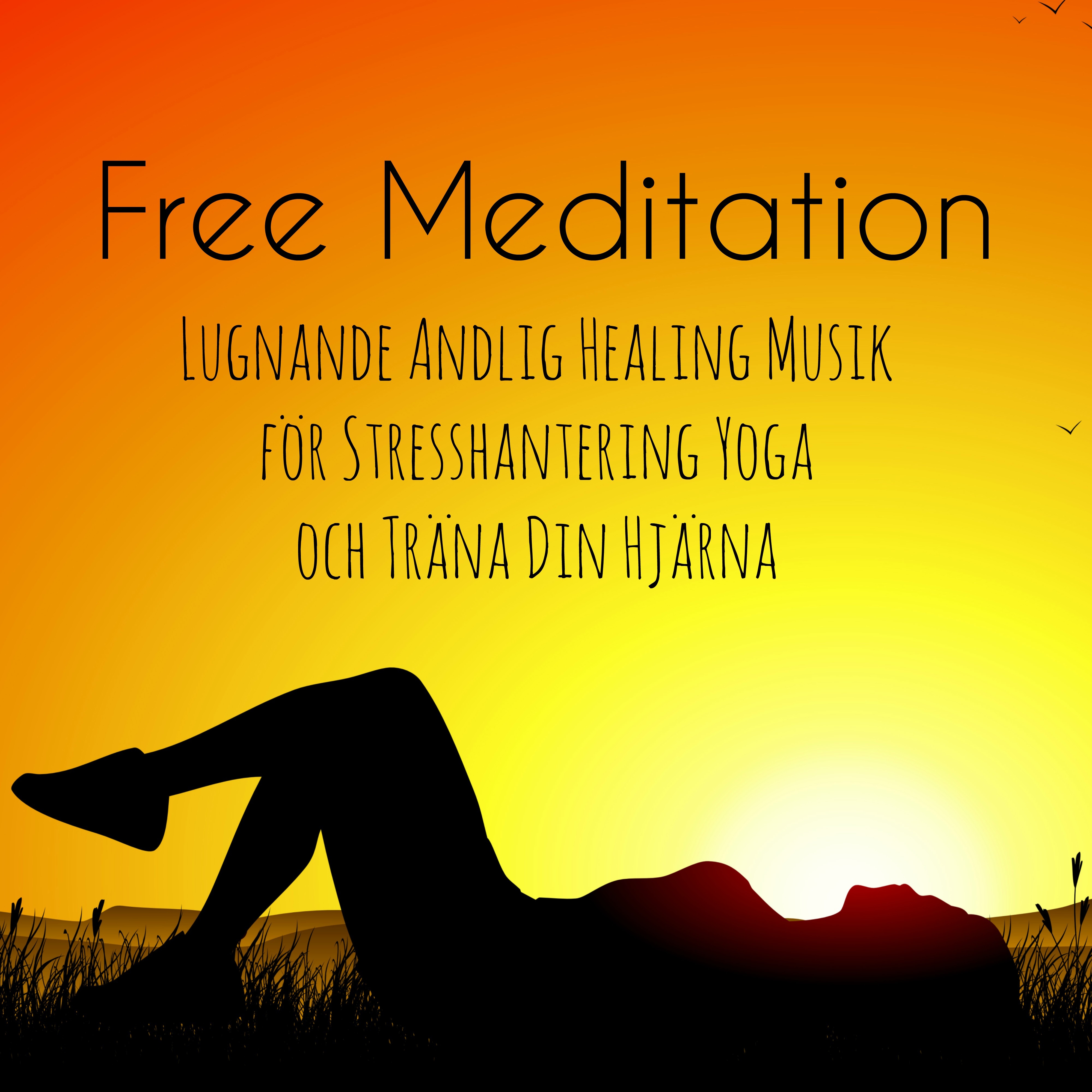 Free Meditation - Lugnande Andlig Healing Musik för Stresshantering Yoga och Träna Din Hjärna, Natur Instrumental Ljud