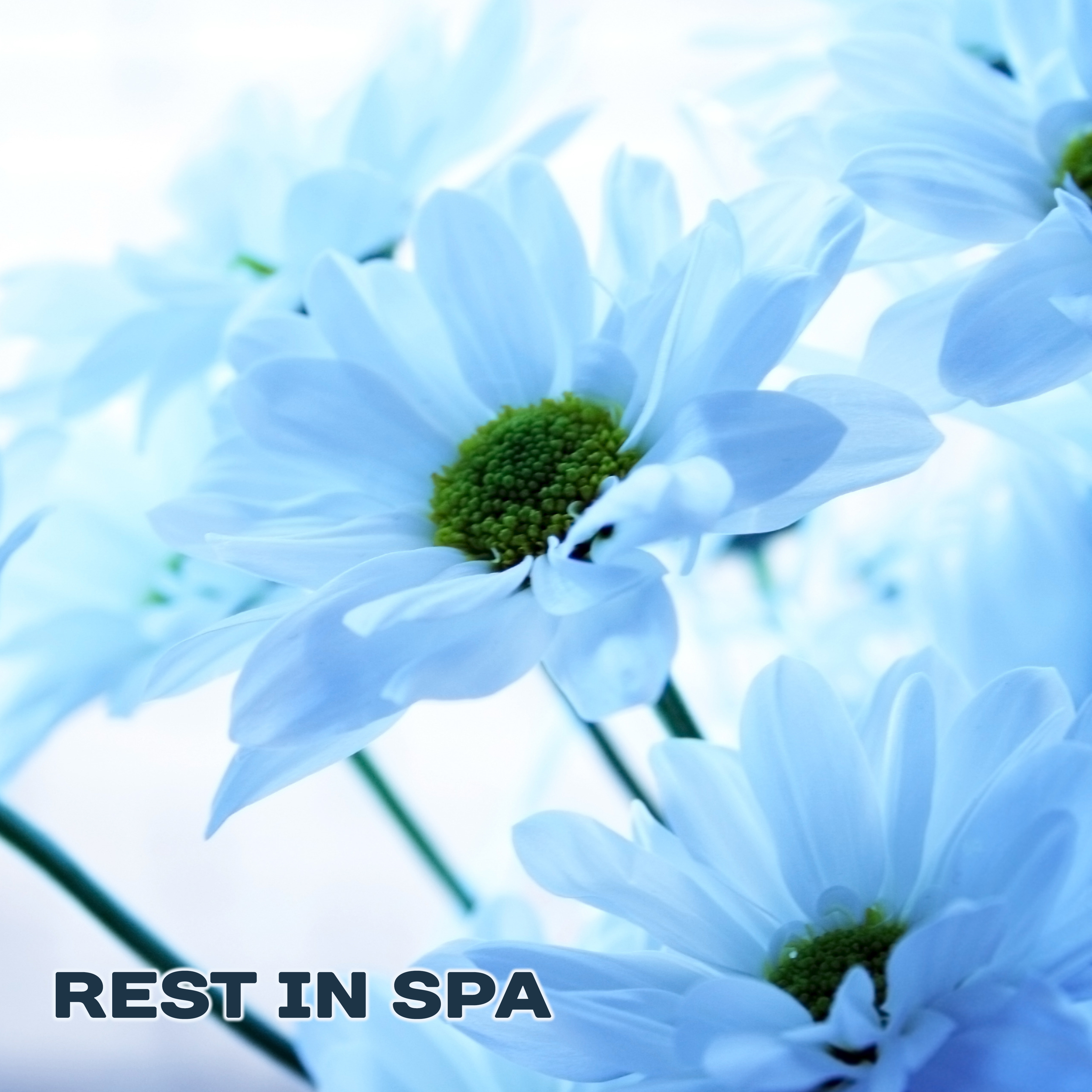 Rest in Spa – Calm New Age Music, Relaxation in Quiet Place, Chilled Melodies, Spiritual Rest