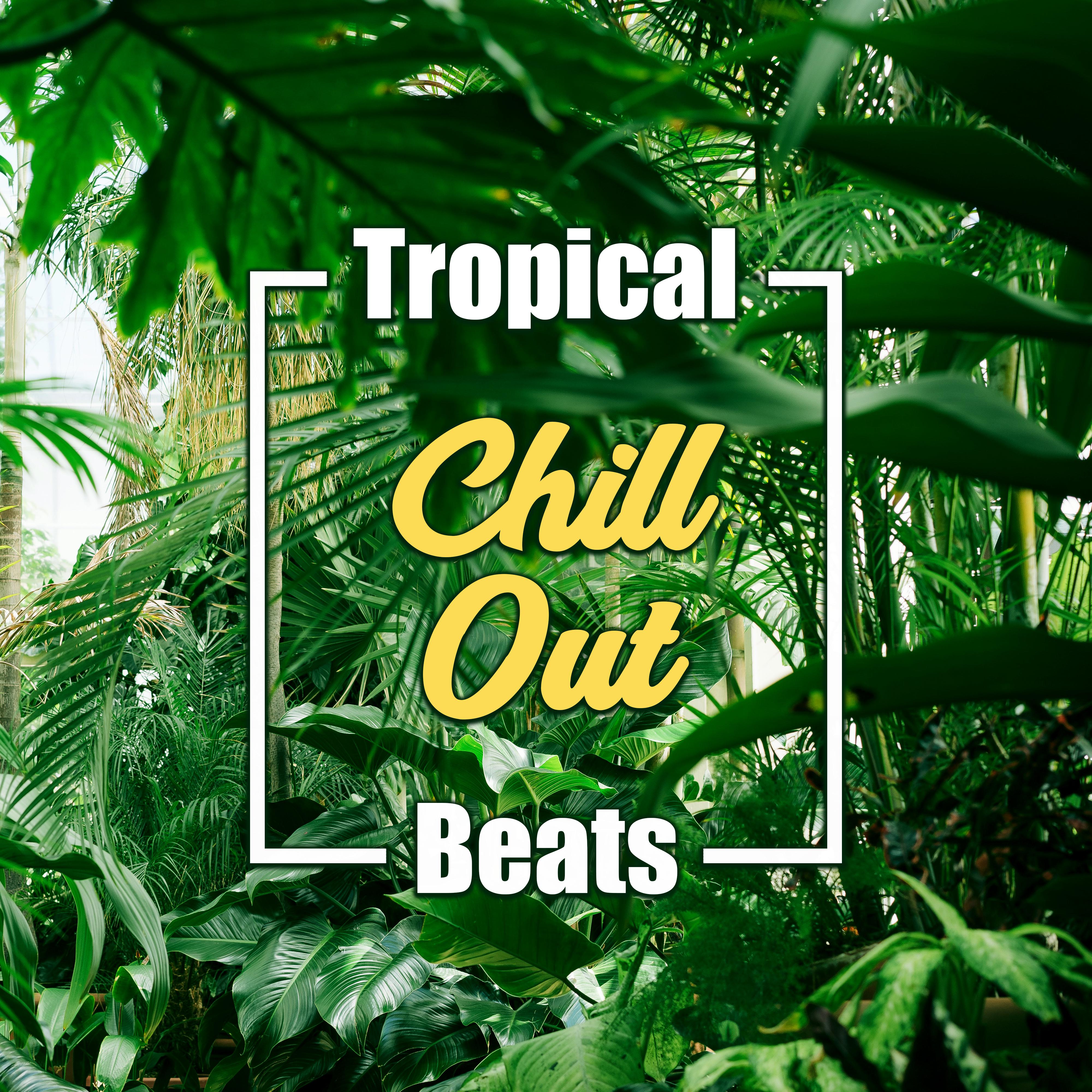 Tropical Chill Out Beats – Summer Rest, Chill Out 2017, Holiday Music, Beach Relaxation, Sunrise Songs
