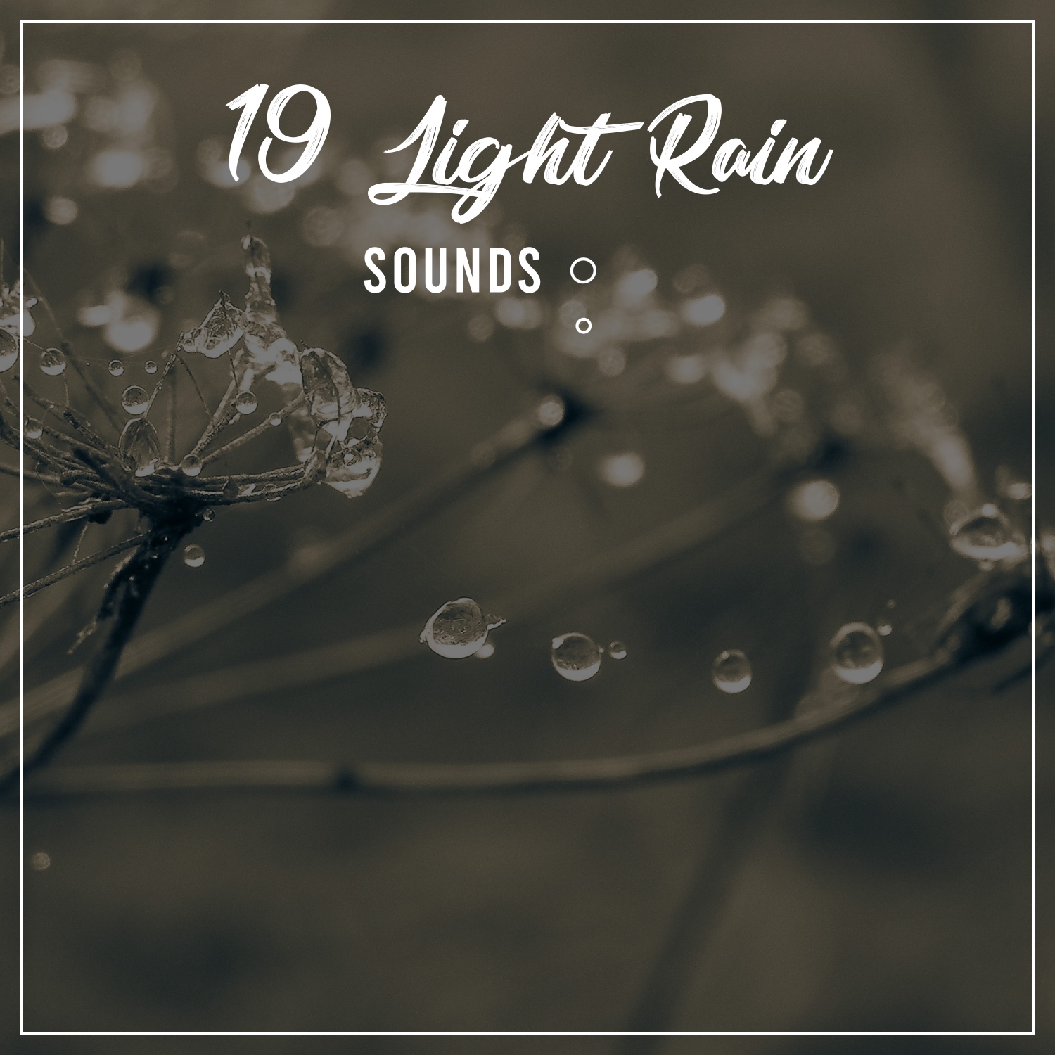 19 Light Rain Sounds. Perfect to Beat Anxiety and Induce Calm