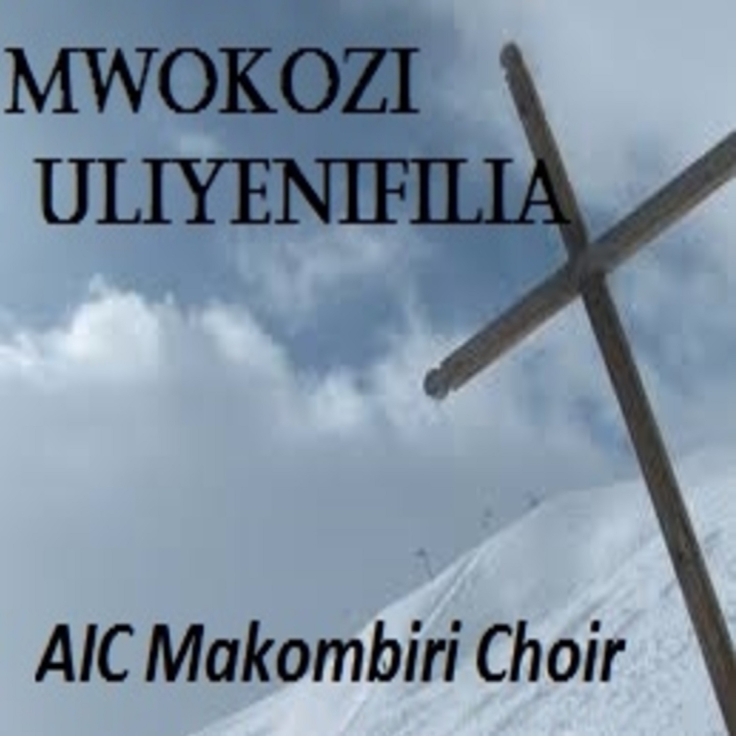 Mwokozi Uliyenifilia