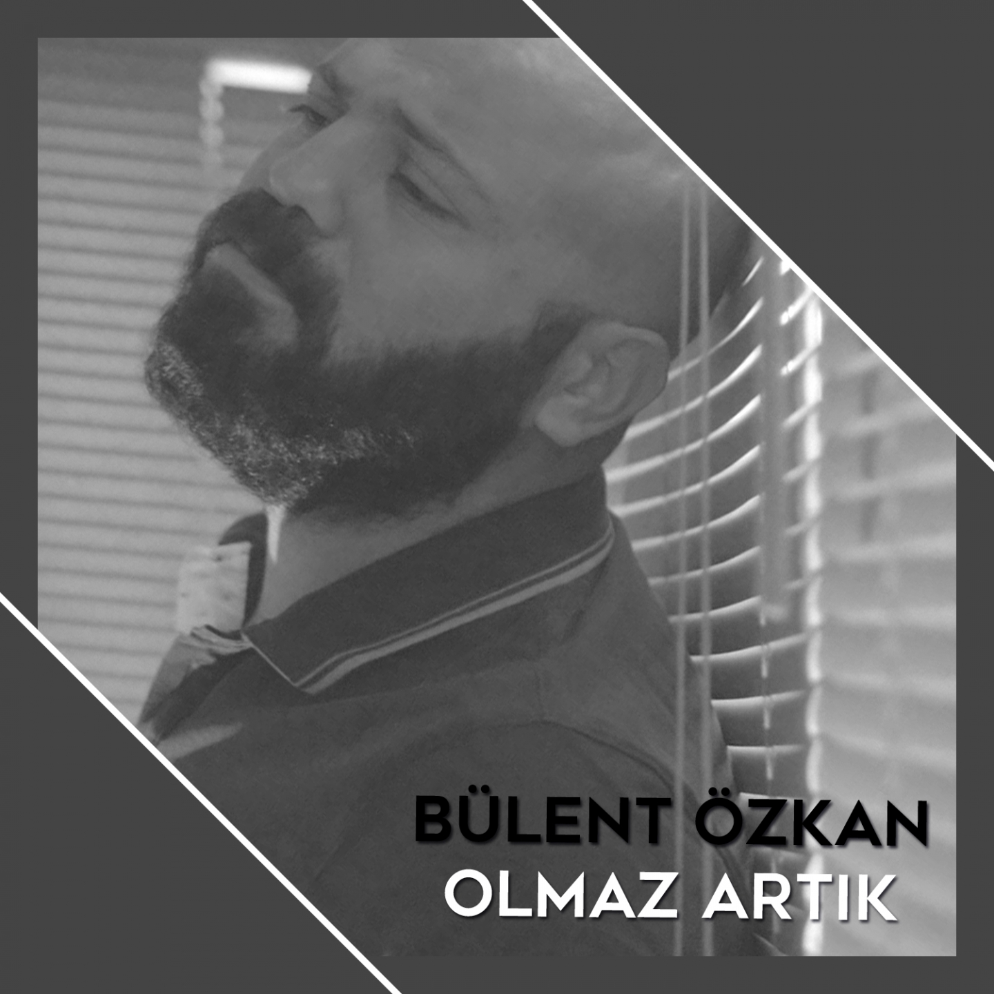 Olmaz Artık