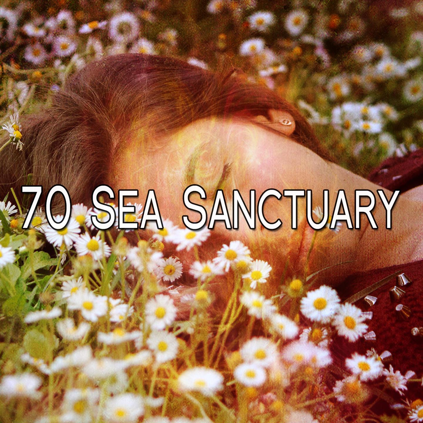 70 Sea Sanctuary