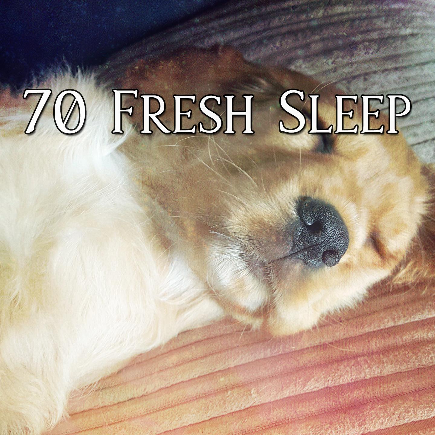 70 Fresh Sleep