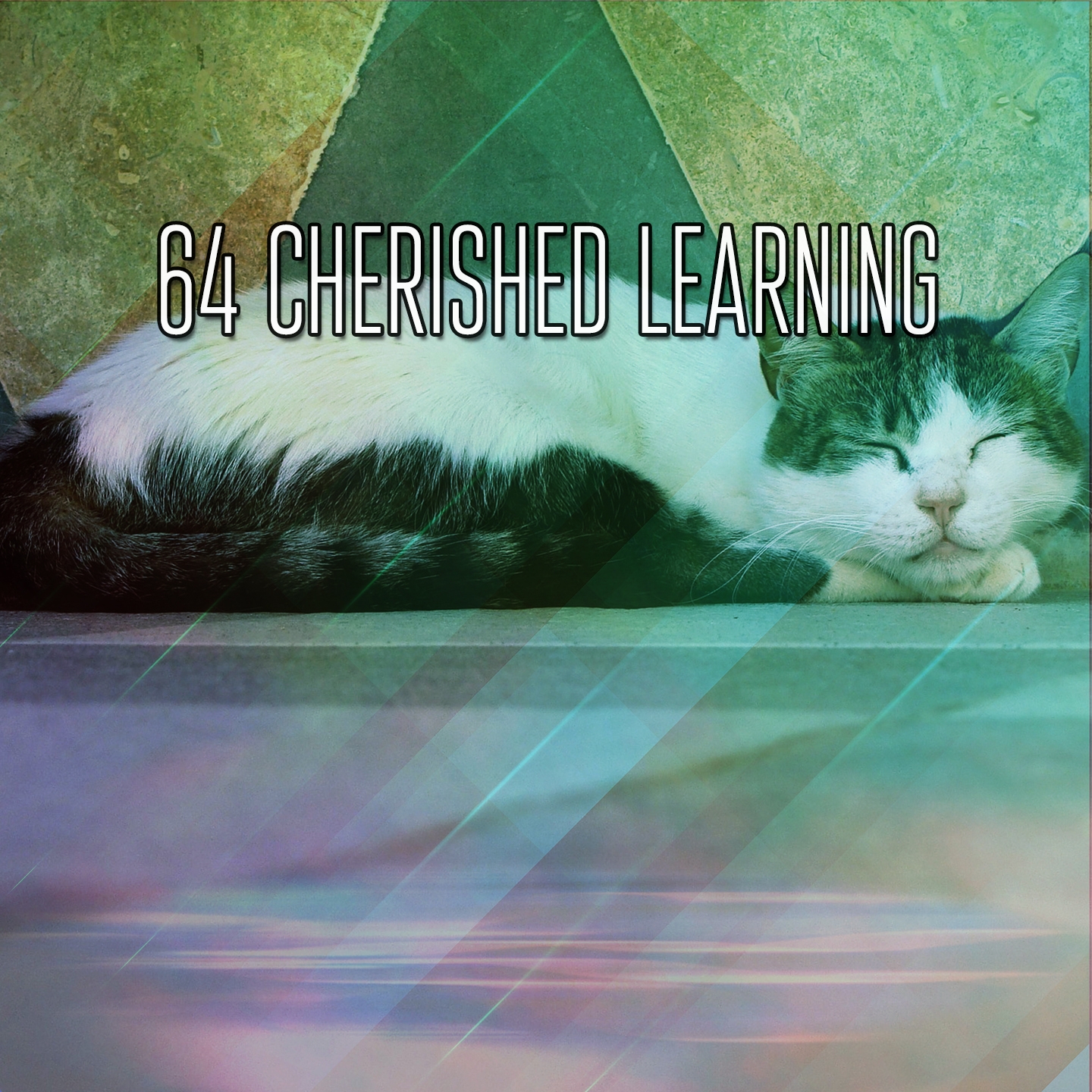 64 Cherished Learning