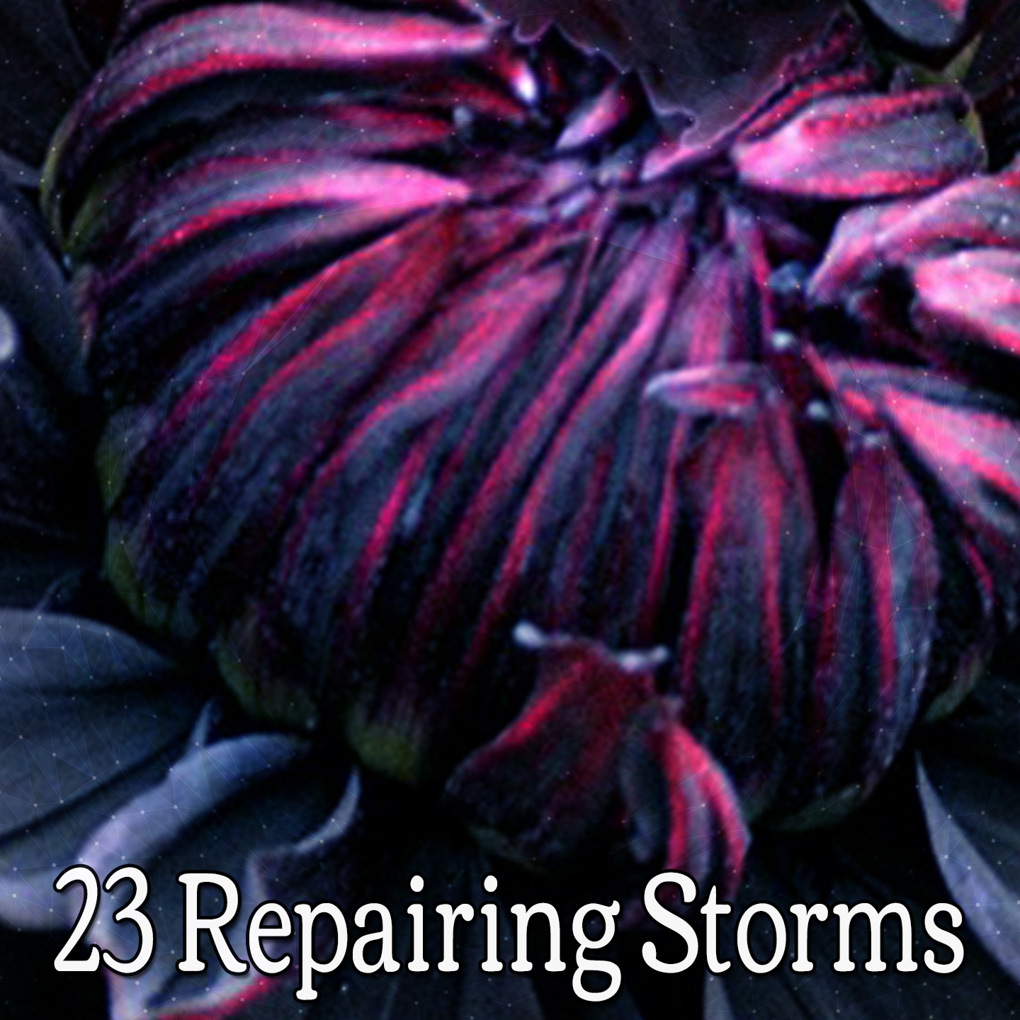 23 Repairing Storms