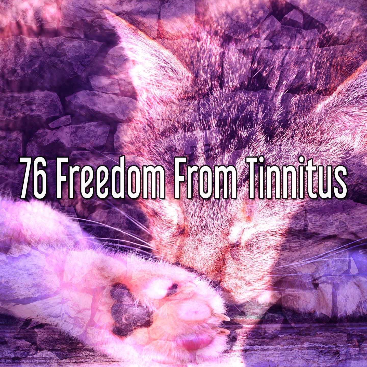 76 Freedom From Tinnitus