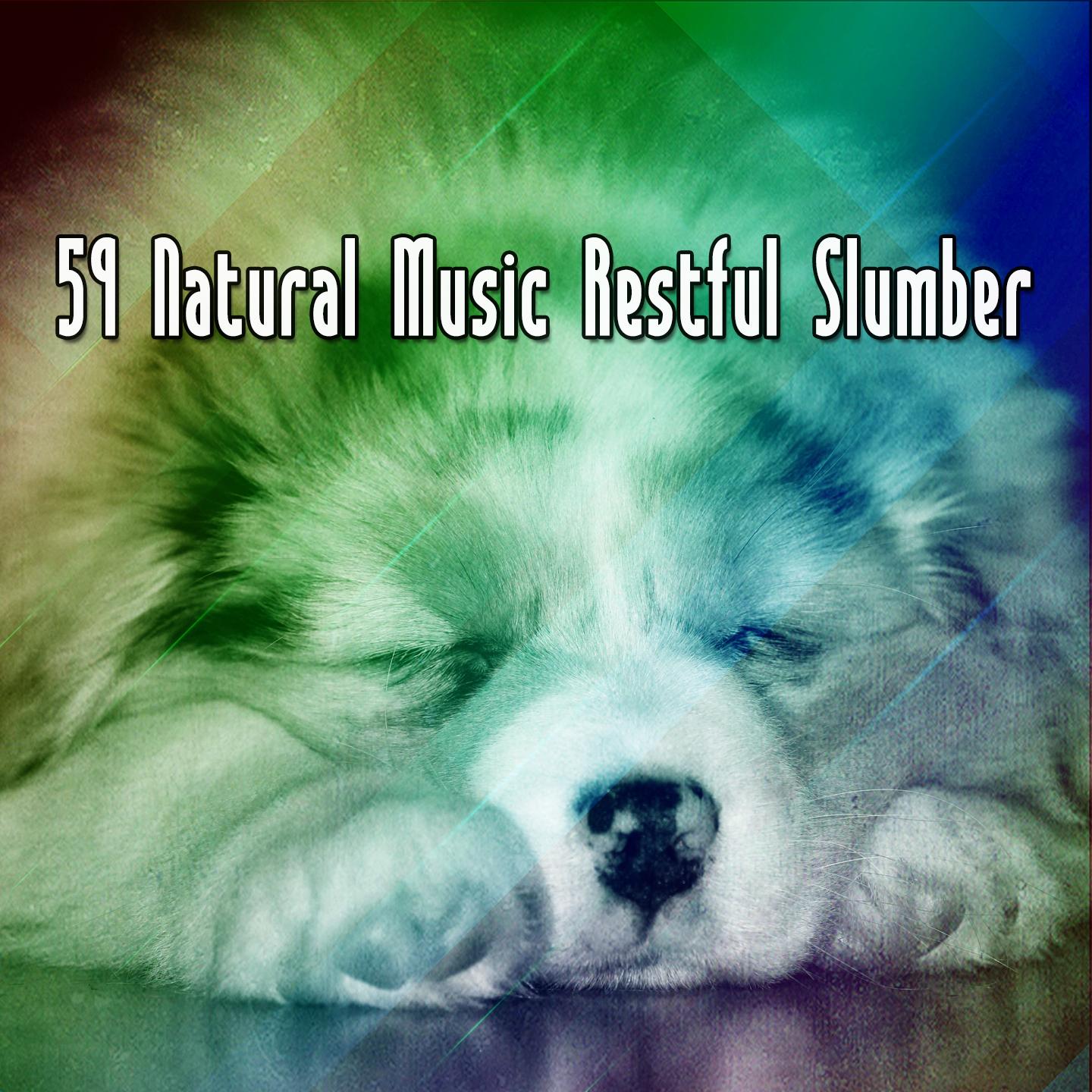 59 Natural Music Restful Slumber