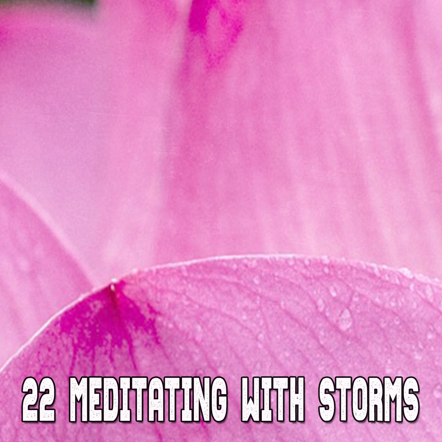 22 Meditating With Storms