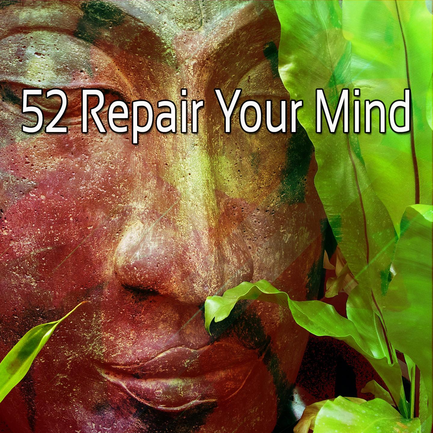 52 Repair Your Mind
