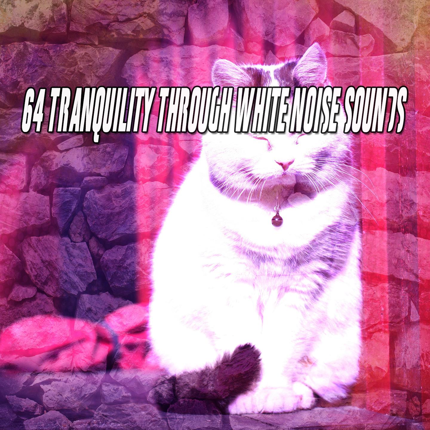 64 Tranquility Through White Noise Sounds