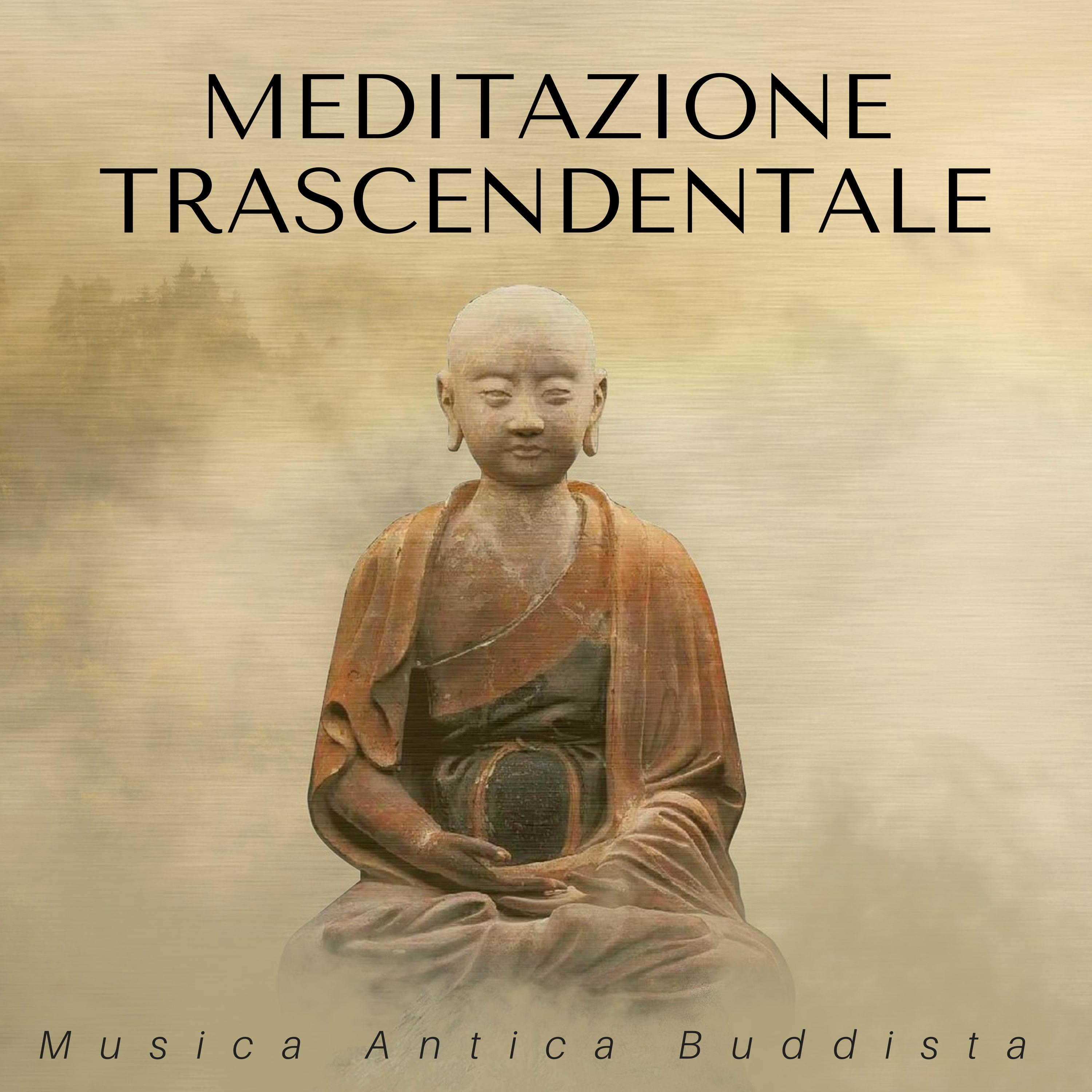 Sessioni di Meditazione