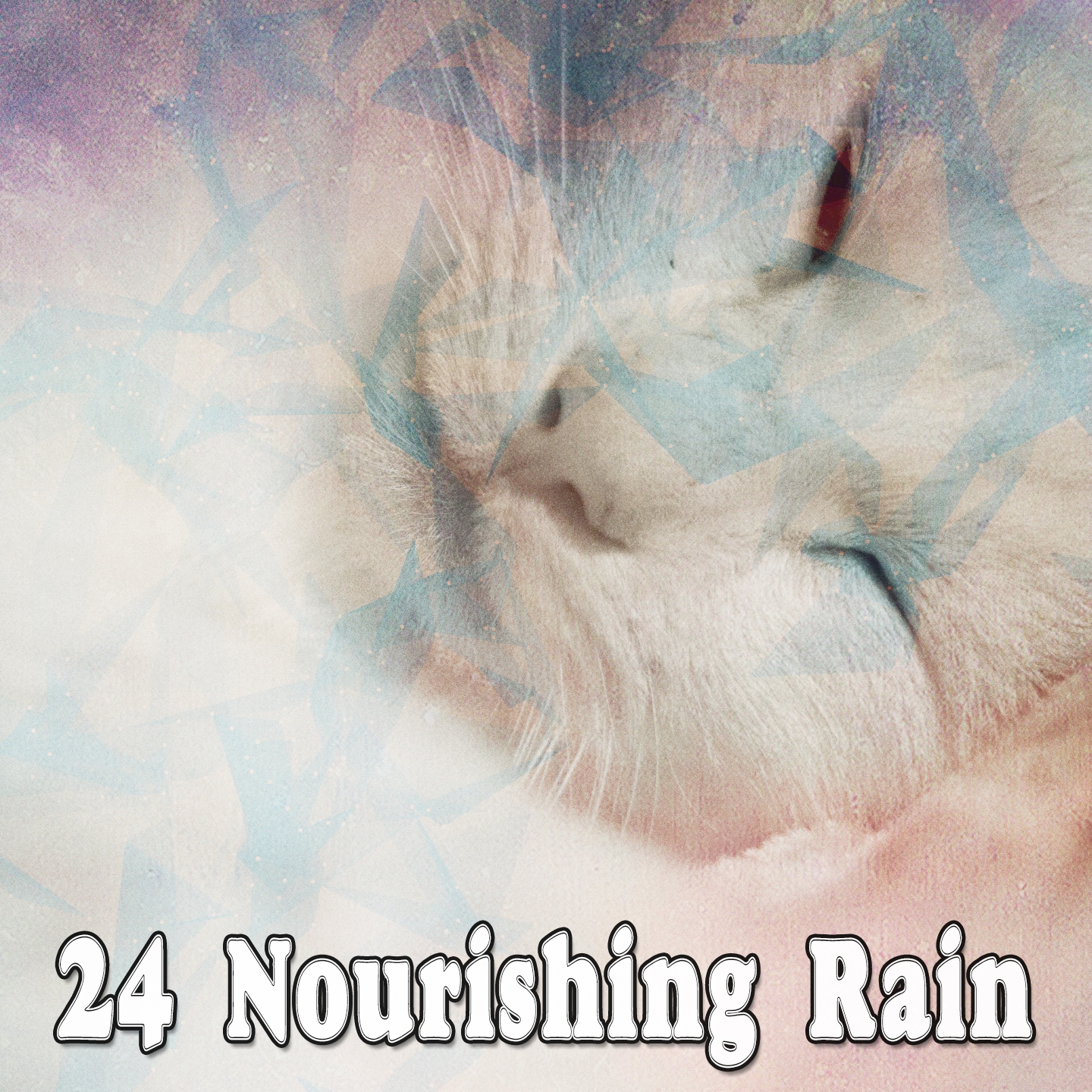 24 Nourishing Rain