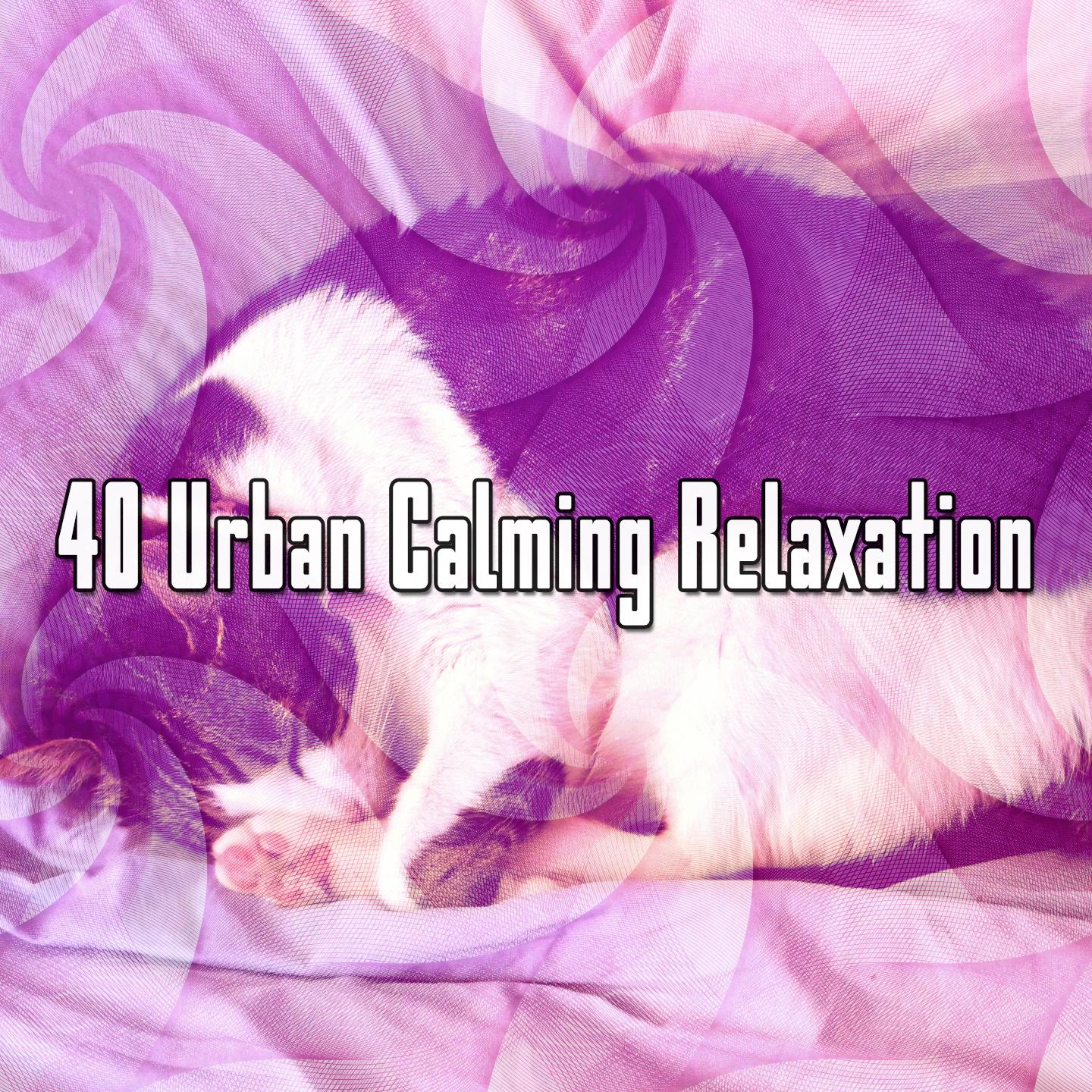 40 Urban Calming Relaxation
