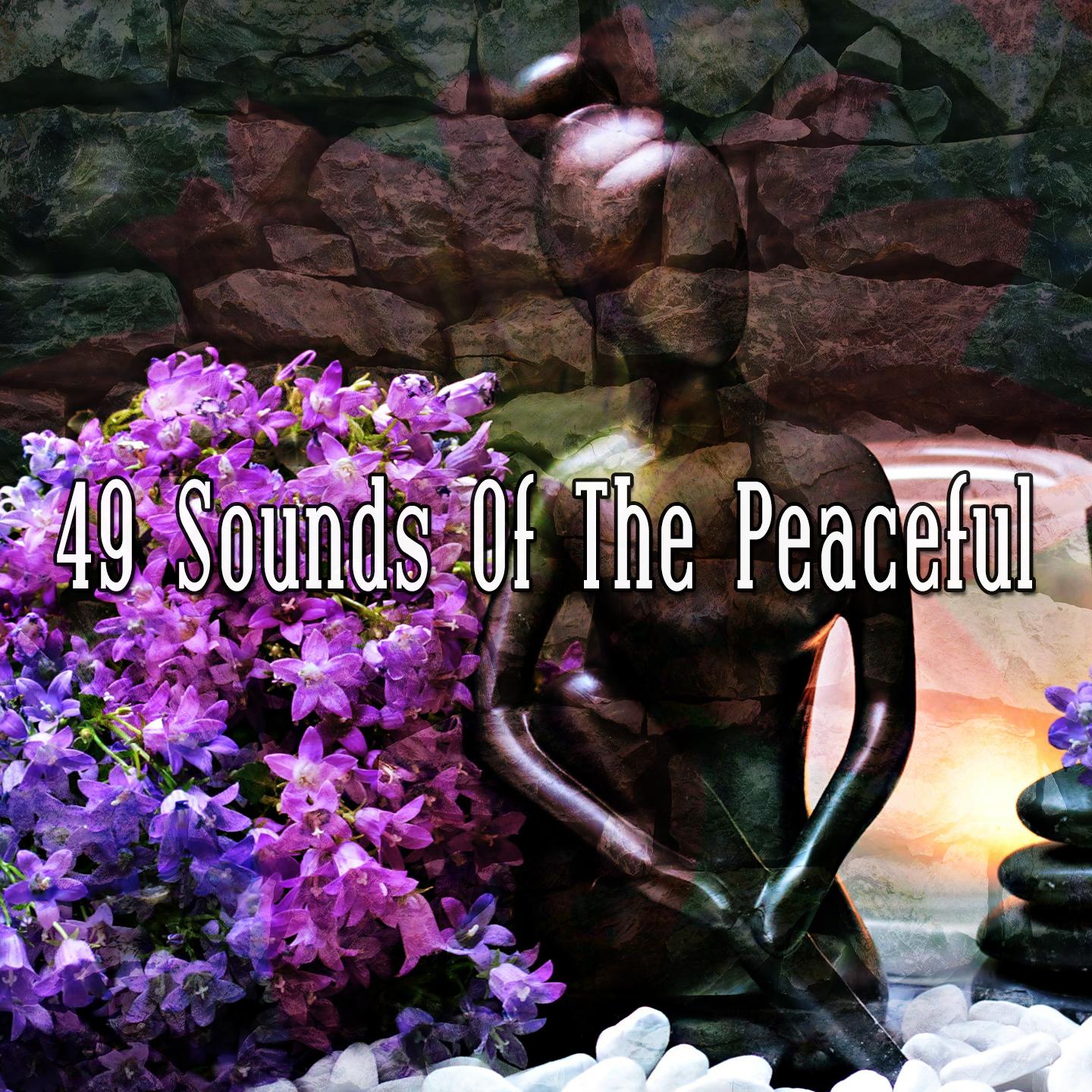 49 Sounds Of The Peaceful