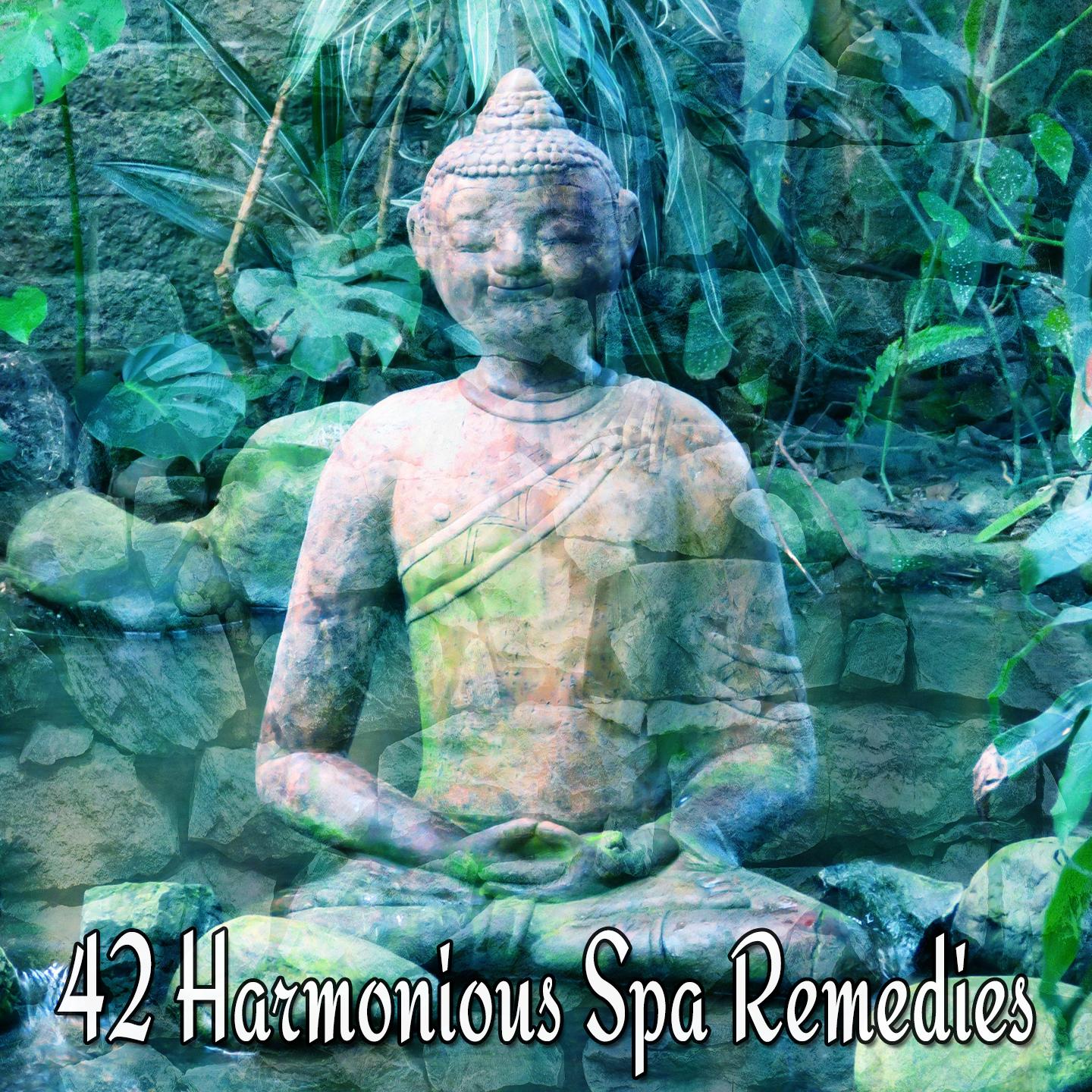 42 Harmonious Spa Remedies