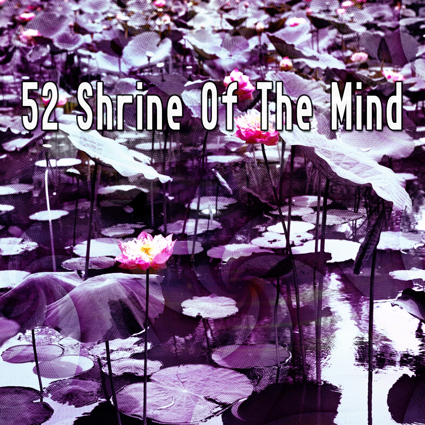 52 Shrine Of The Mind