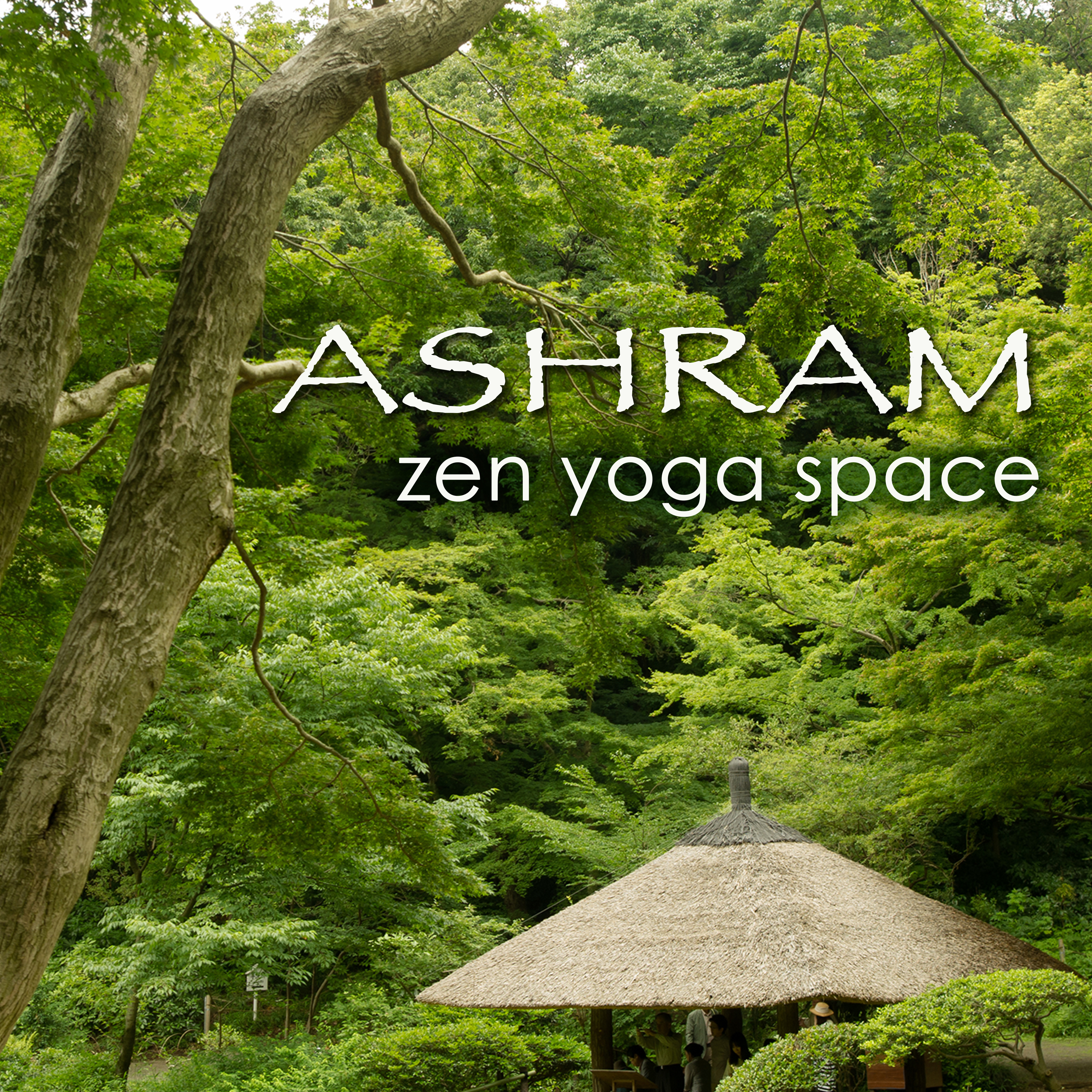 Ashram – Zen Yoga Space surrounded by Nature for Meditation, Pranayama and Yoga Lesson with Peace of Mind