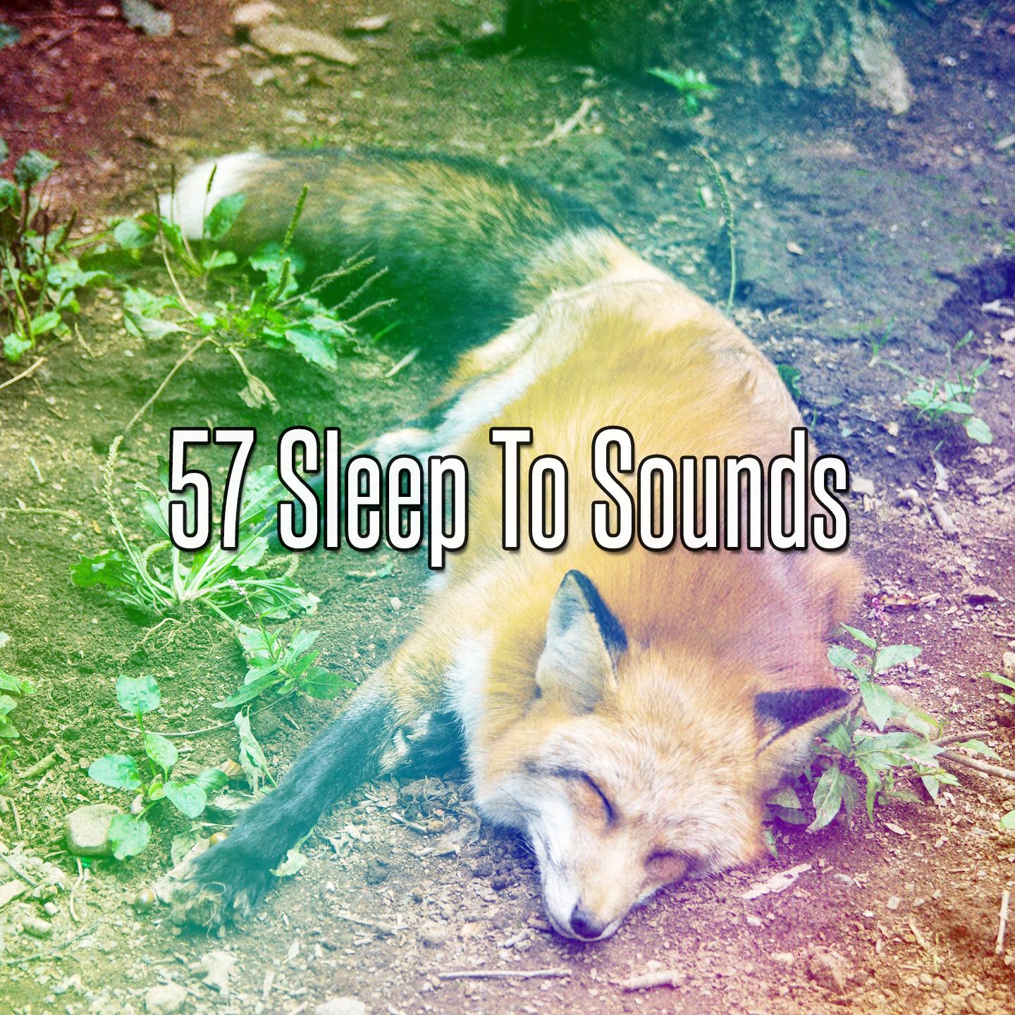 57 Sleep To Sounds