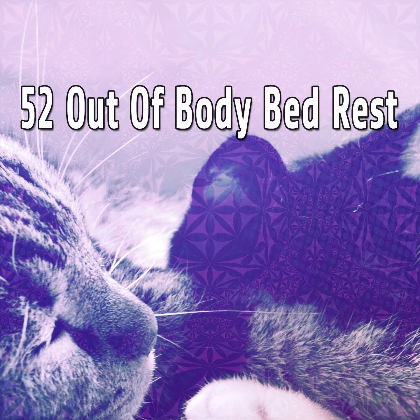52 Out Of Body Bed Rest