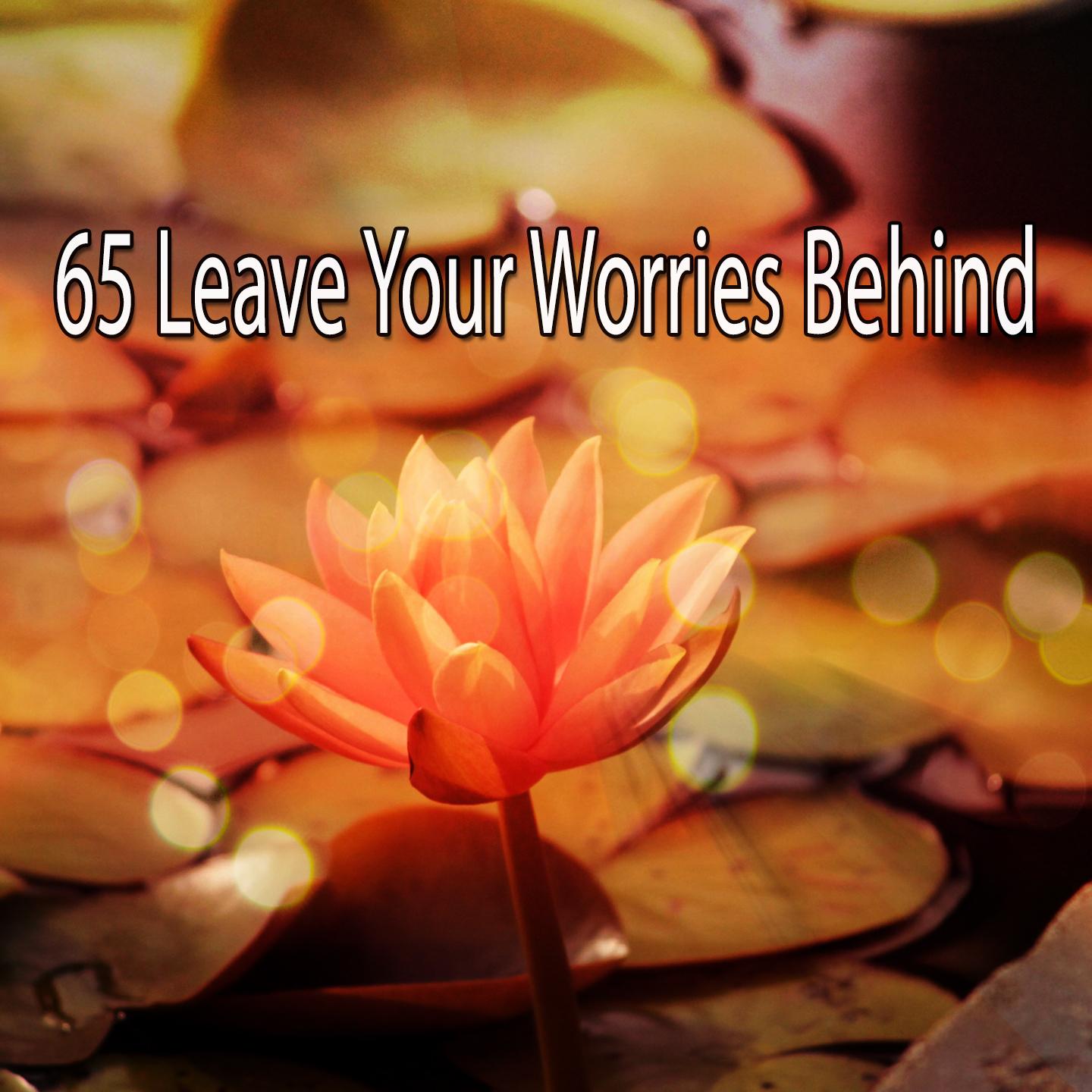 65 Leave Your Worries Behind