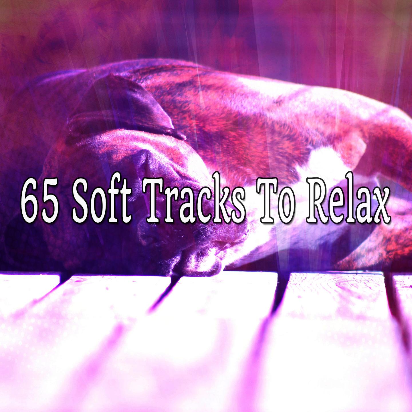 65 Soft Tracks To Relax